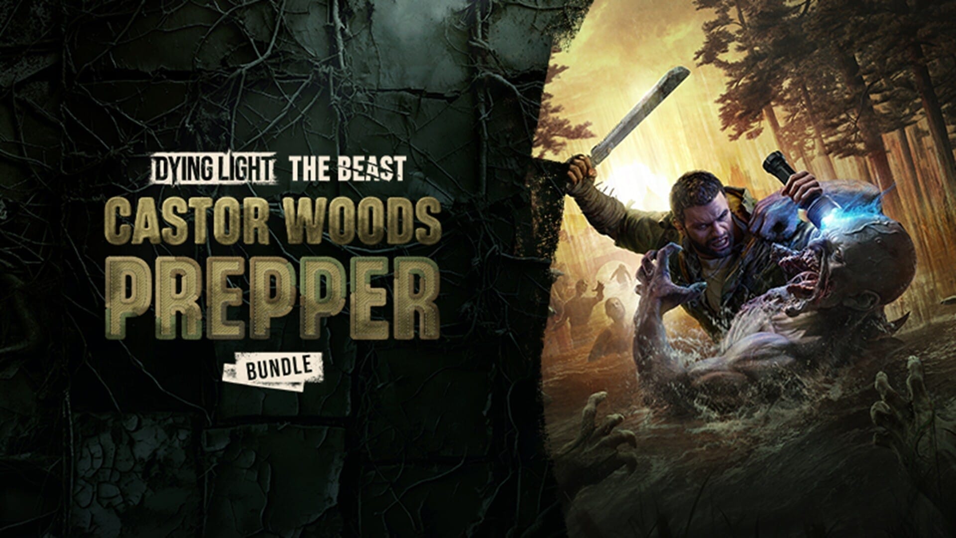 1920x1080 Dying Light: The Beast