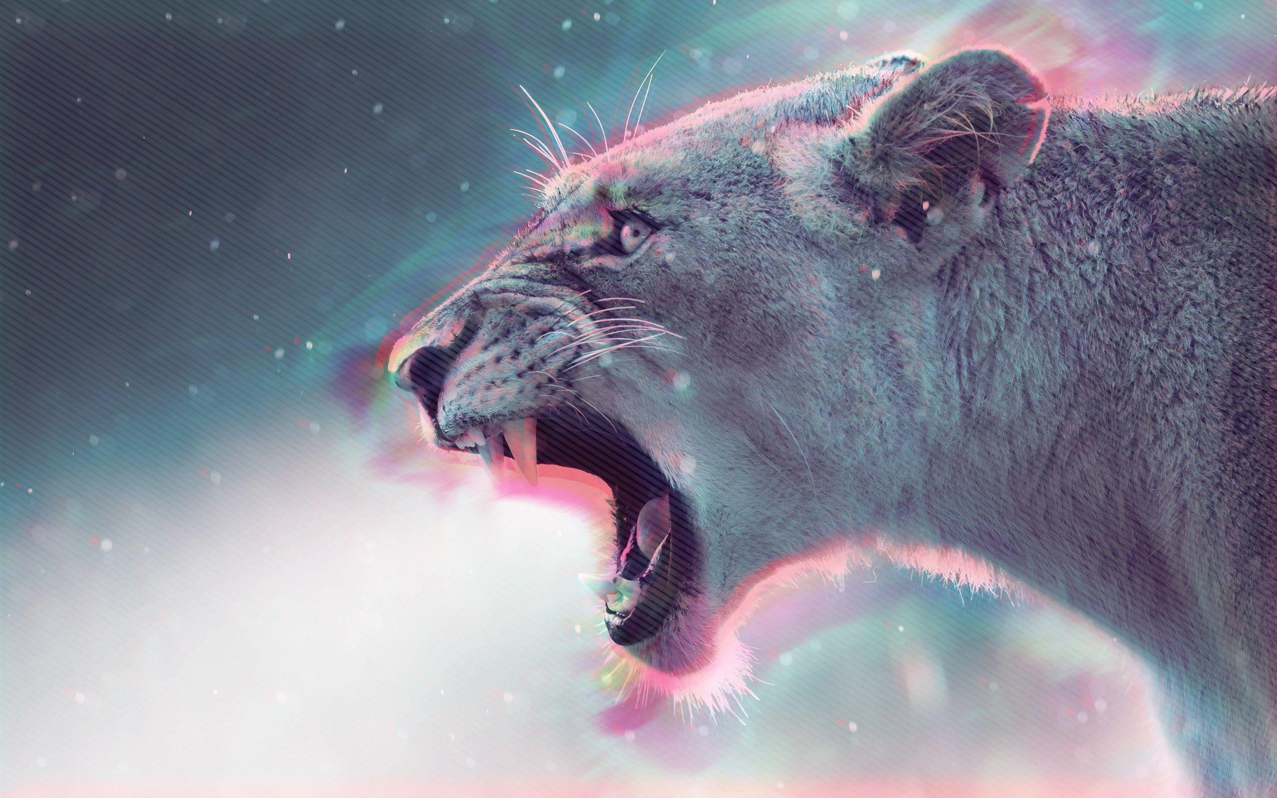 2560x1600 Cougar growl wallpaper and image, picture, photo