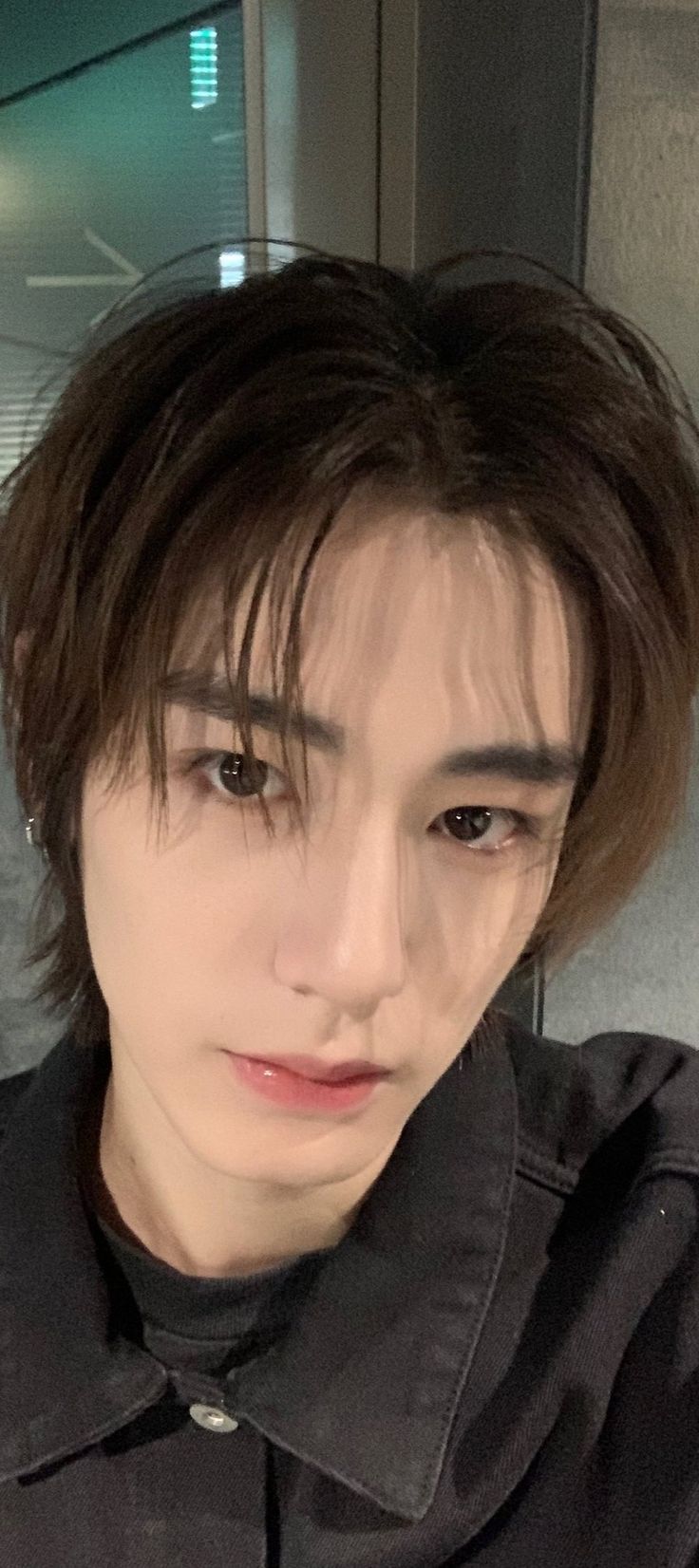 736x1652 LEEHAN WALLPAPER