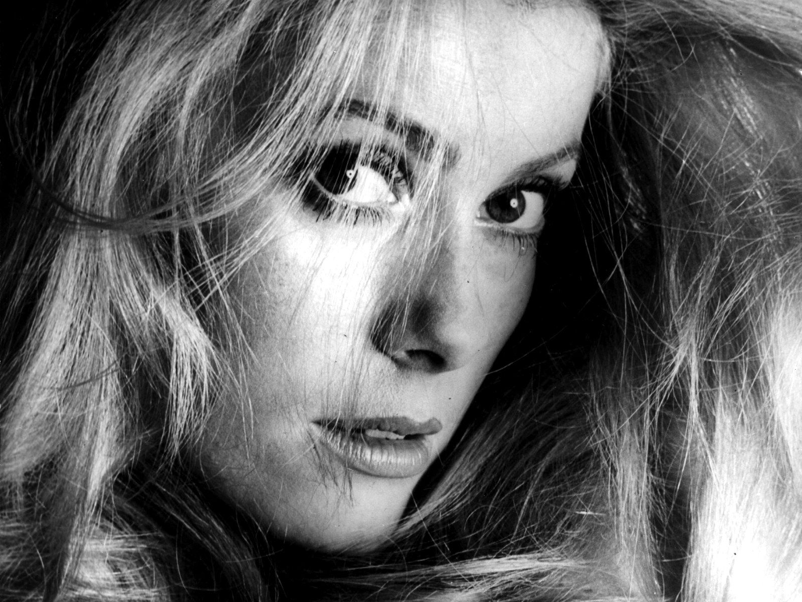 1600x1200 Catherine Deneuve Wallpaper