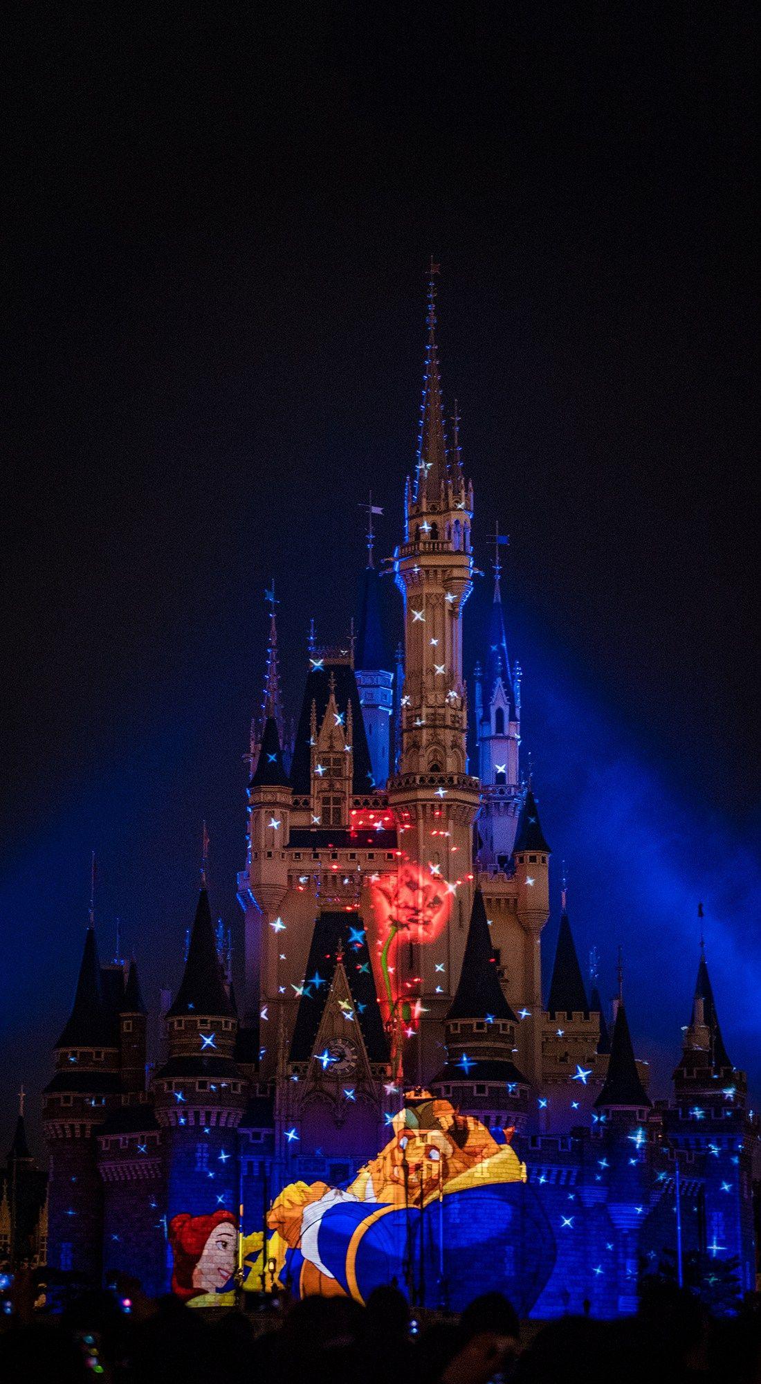 Disney Castle Wallpapers  Top Free Disney Castle Backgrounds   WallpaperAccess