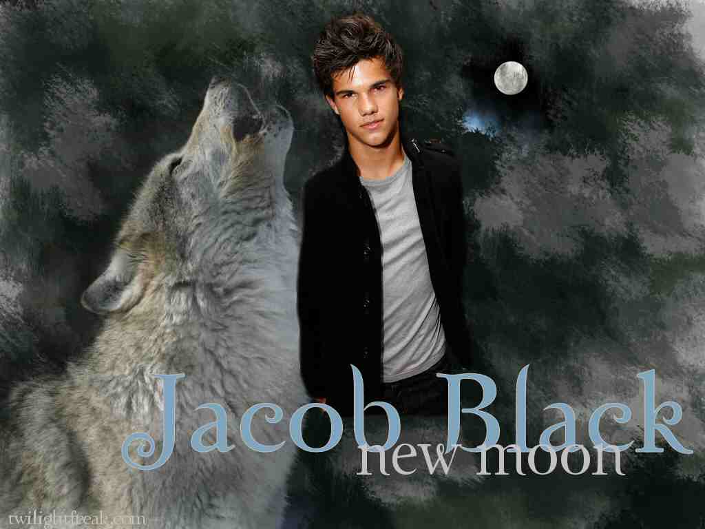 1024x768 New Moon Jacob Black Werewolf Wallpaper