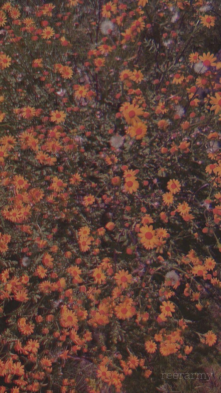721x1280 Aesthetic wallpaper image