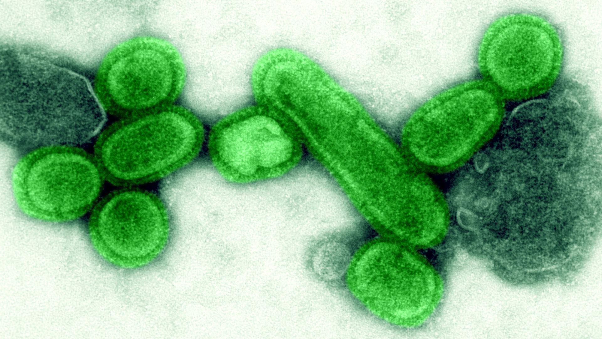 1920x1080 A fast and frequently mutating flu virus has potential to spark a