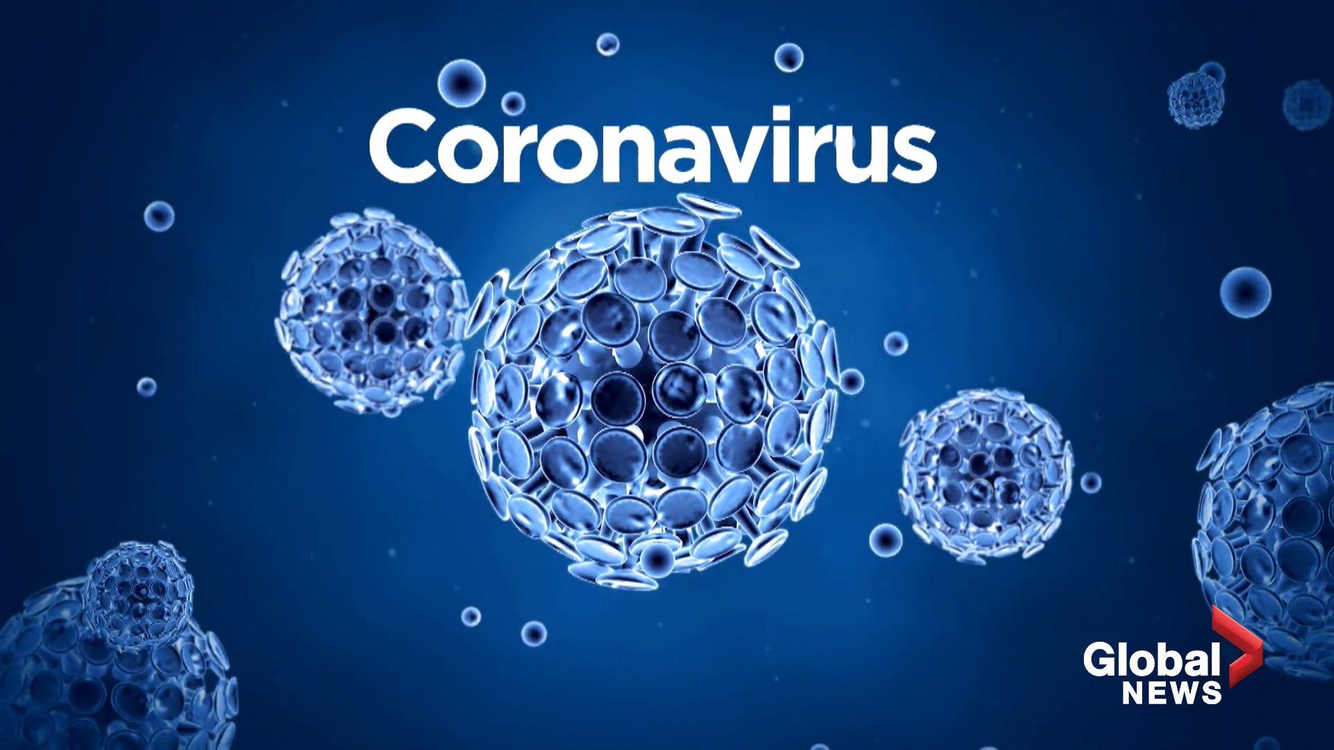 Coronavirus HD Wallpapers - Top Free Coronavirus HD Backgrounds -  WallpaperAccess