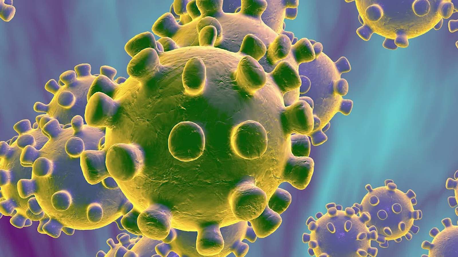 1600x900 CDC confirms 14th case of coronavirus in United States