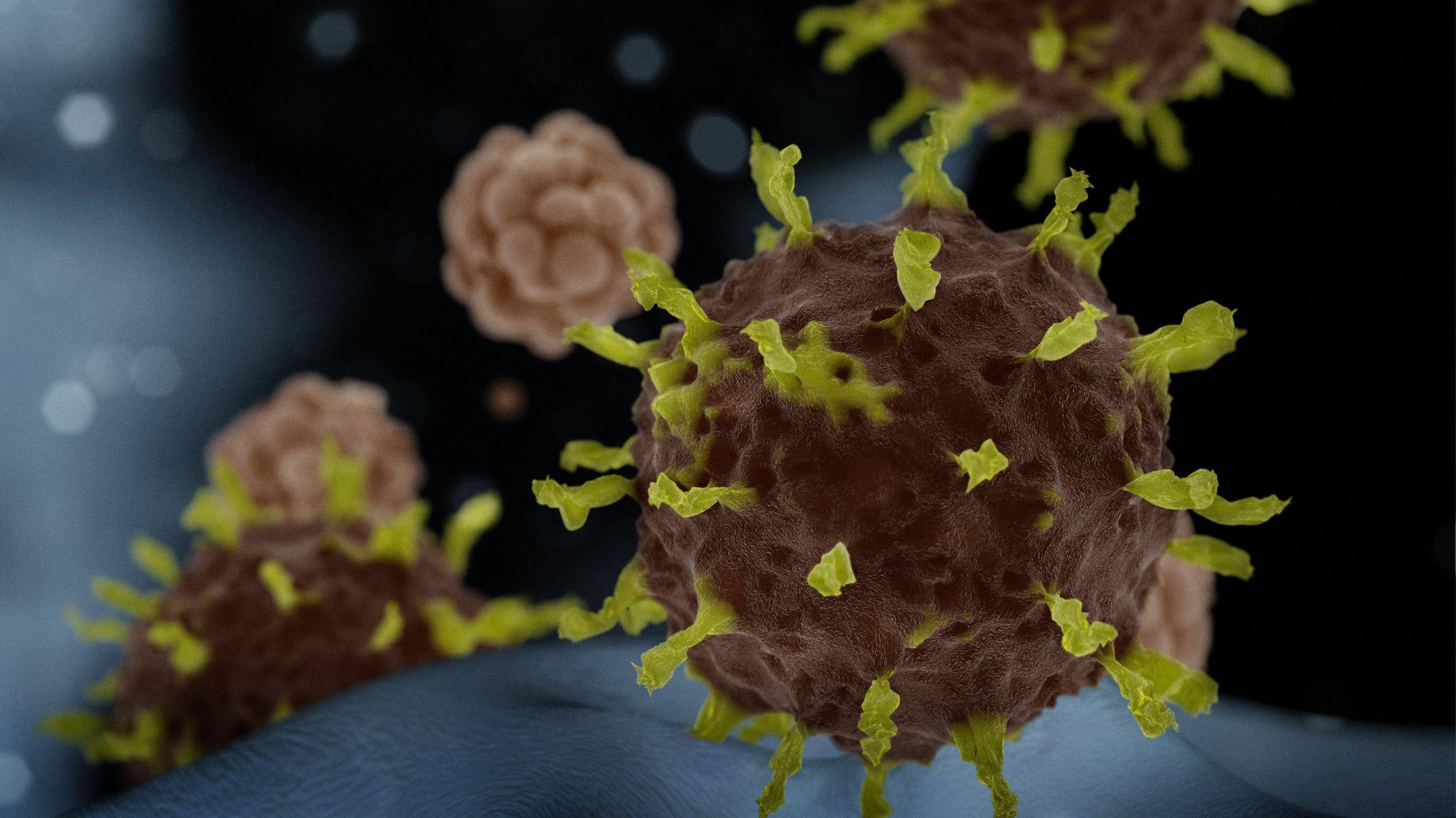 2560x1440 coronavirus test still pending in Maryland, 5 come back negative