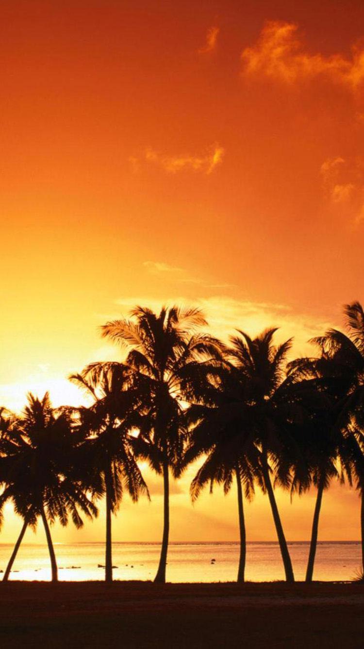 750x1334 iPhone Beach Wallpaper