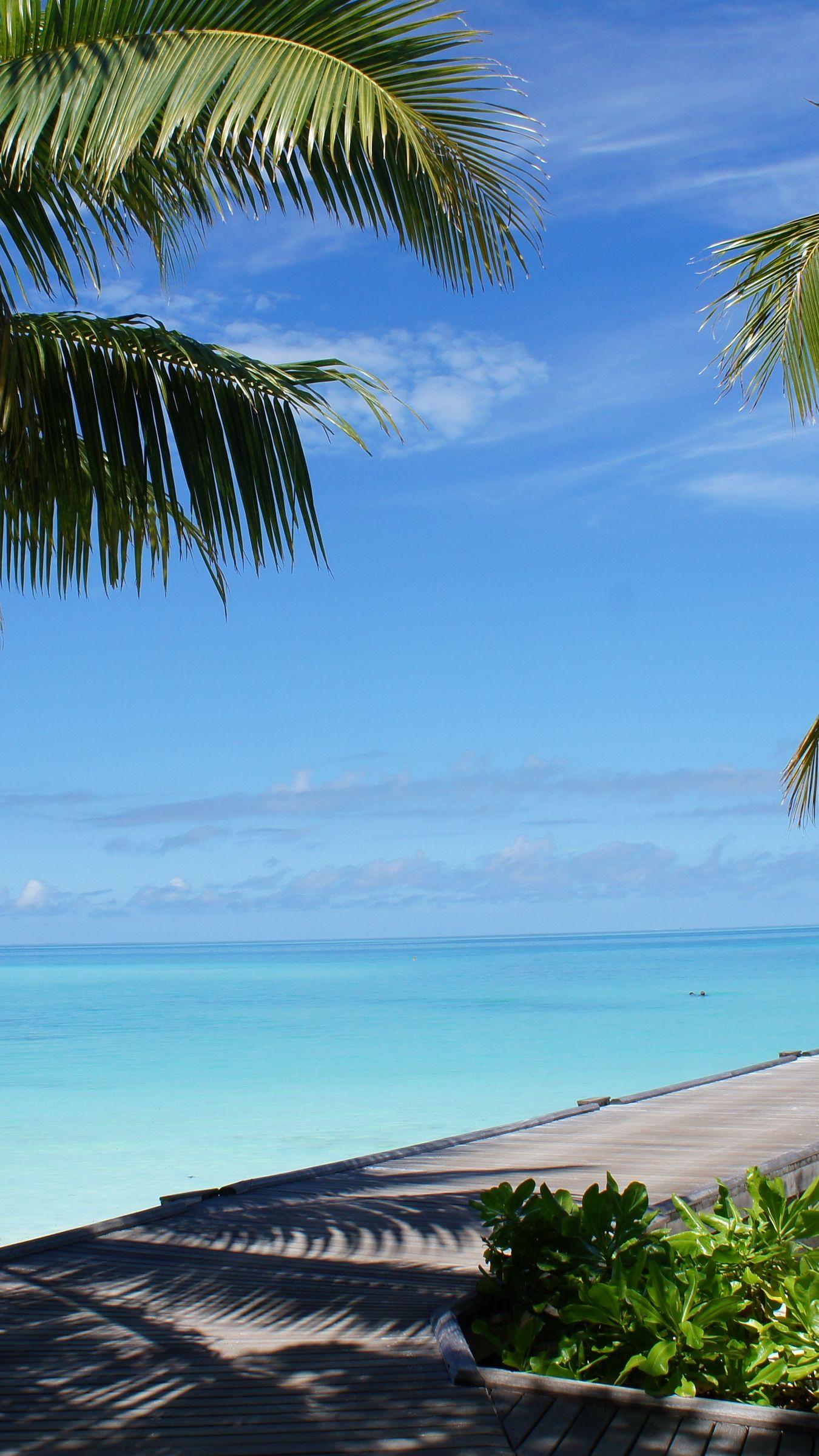 Tropical Beach iPhone Wallpapers - Top Free Tropical Beach iPhone