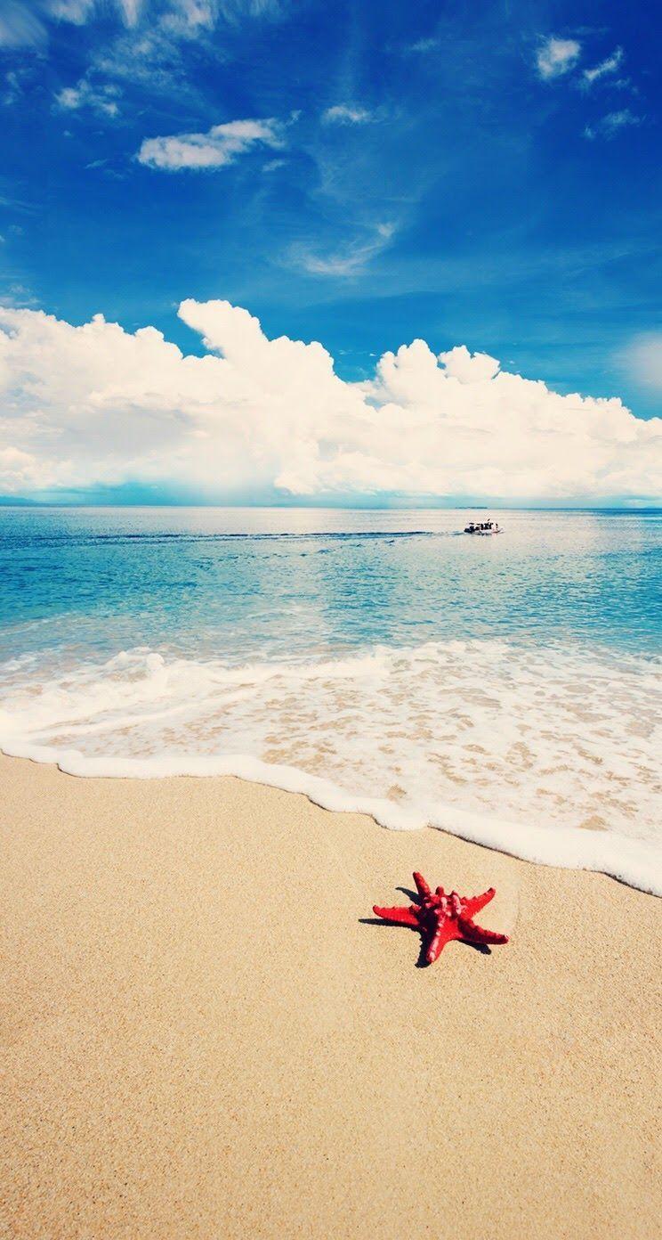 744x1392 Tropical beach iPhone wallpaper background. Beach background