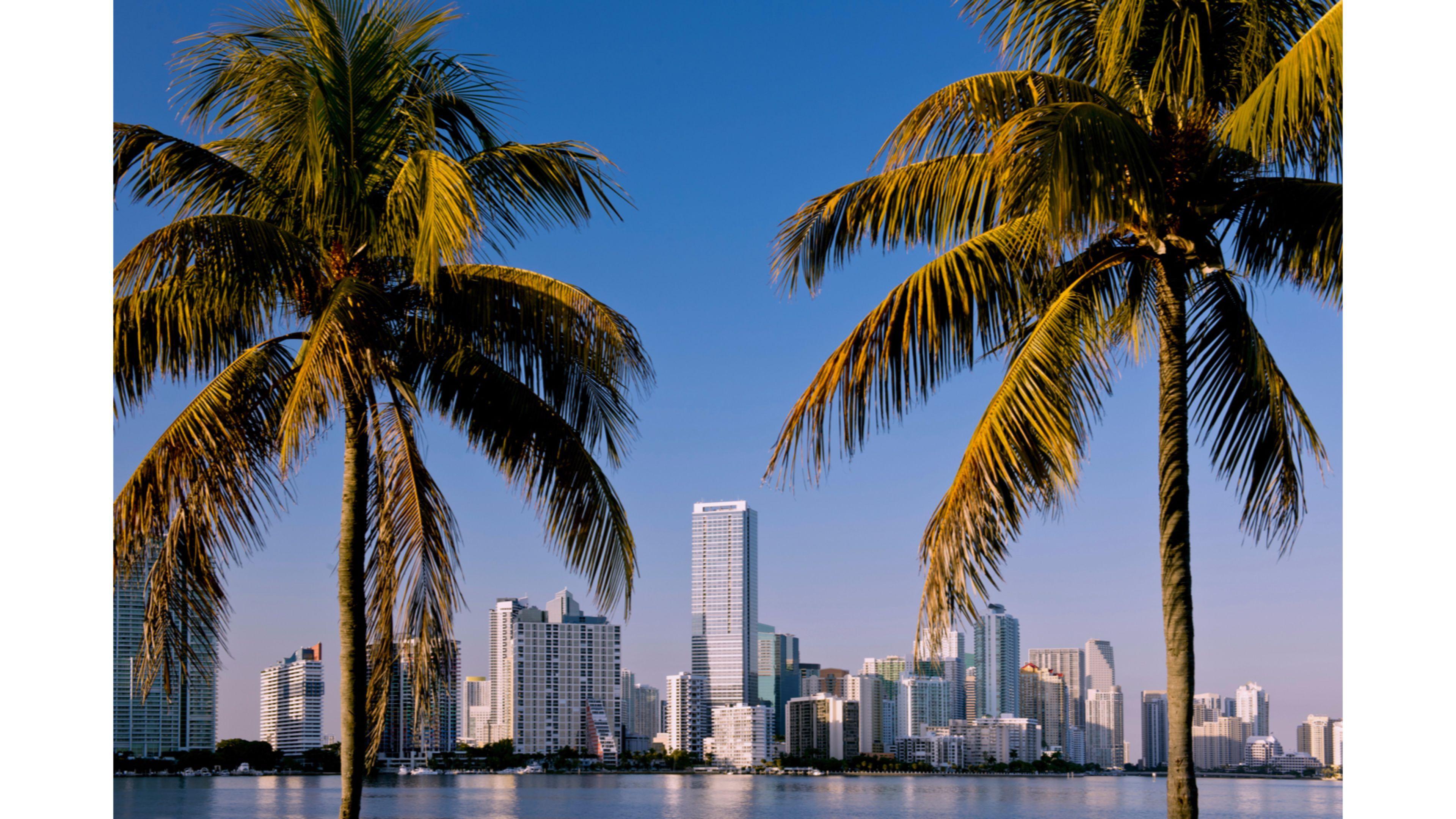 4k Miami Wallpapers Top Free 4k Miami Backgrounds Wallpaperaccess