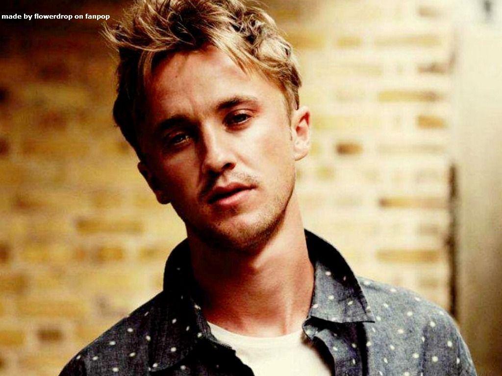 1024x768 Tom Felton wallpaperx768