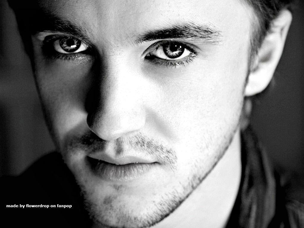1024x768 Tom Felton wallpaperx768