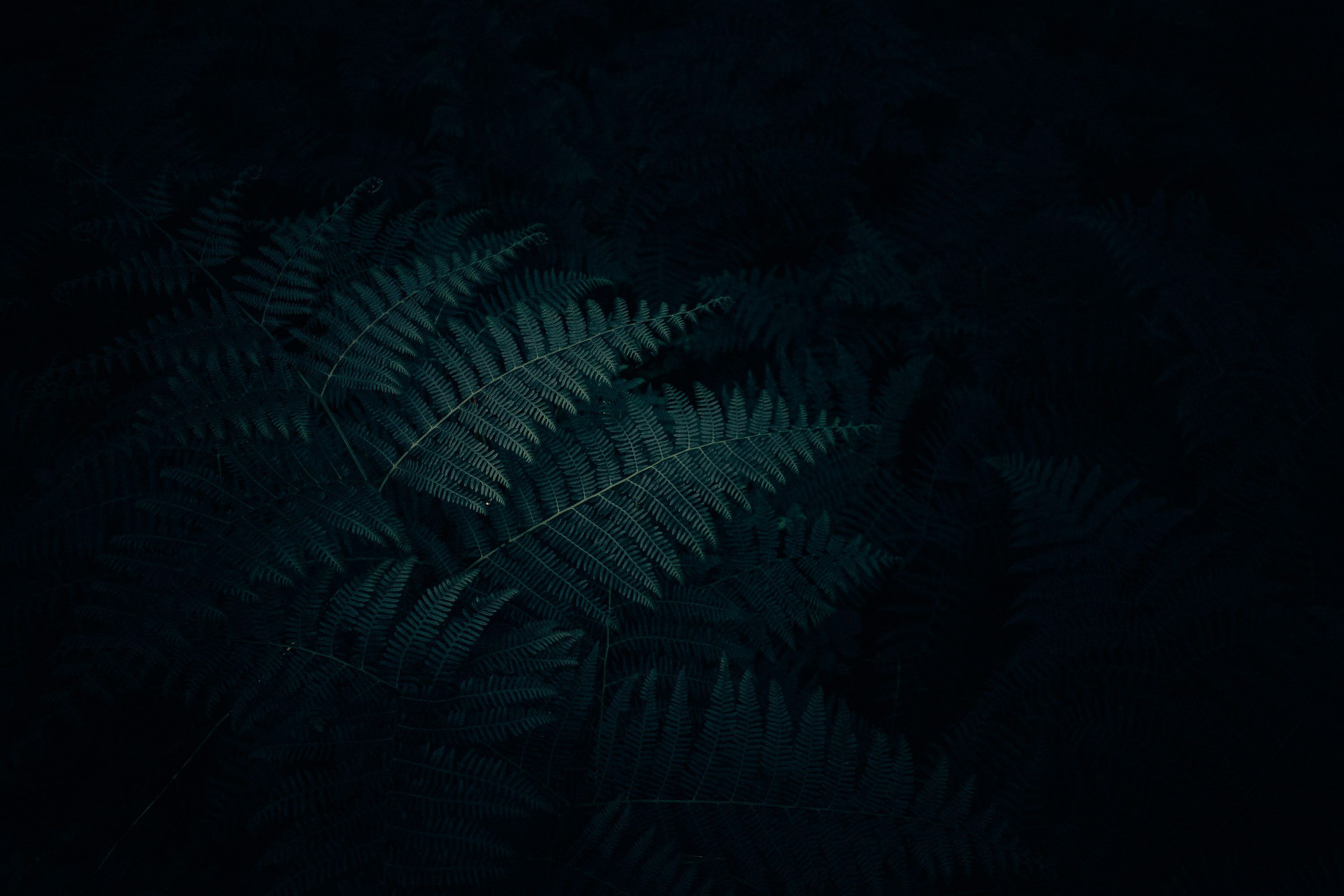 3000x2000 Minimal Dark Picture Image