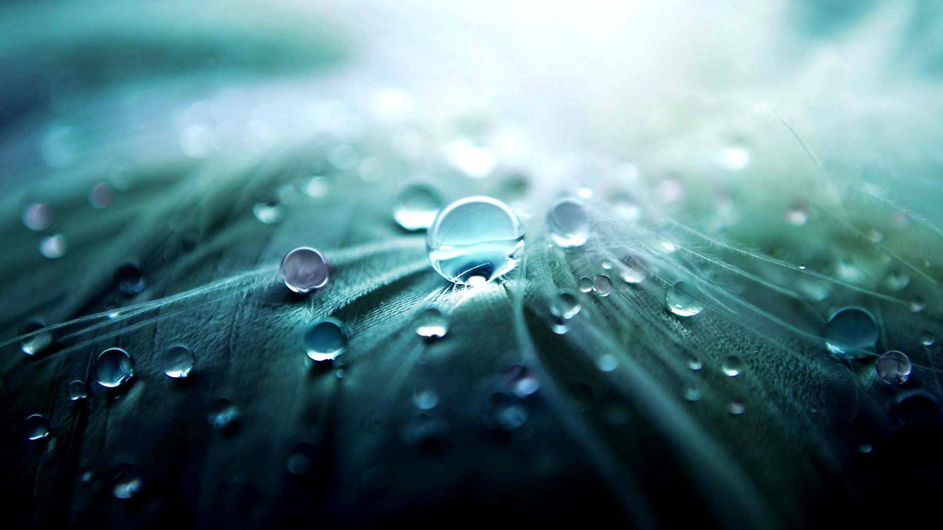 1920x1080 Great Wallpaper HD 21386 1920x1080 px
