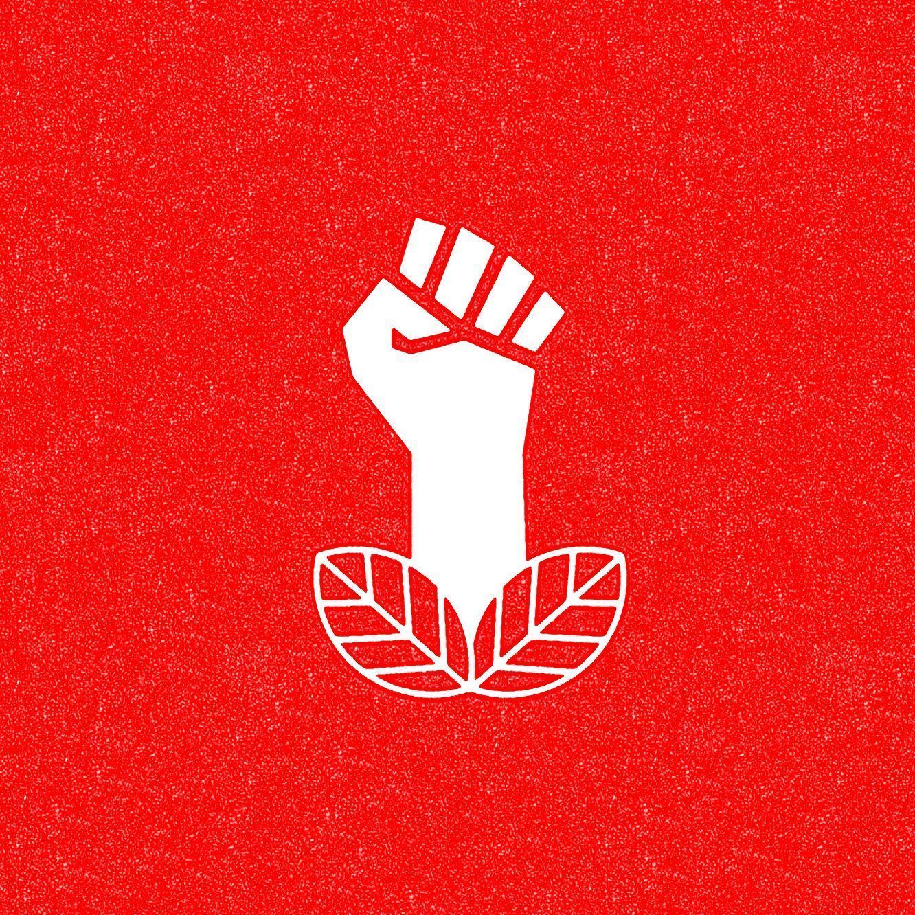 1332x1332 Can the Democratic Socialists Succeed Where Occupy Wall Street Failed?