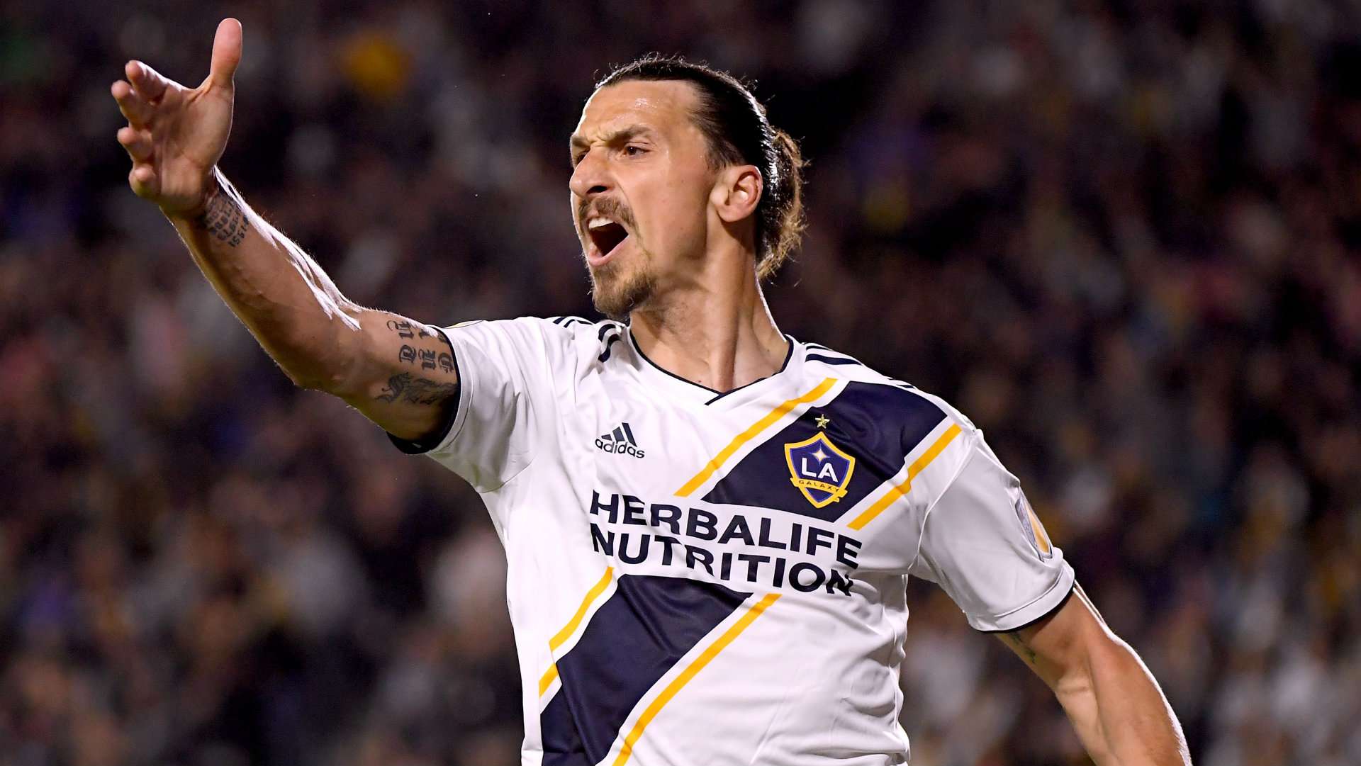1920x1081 Zlatan Ibrahimovic news: 'I need more haters' - 'very angry' LA Galaxy star reveals motivation