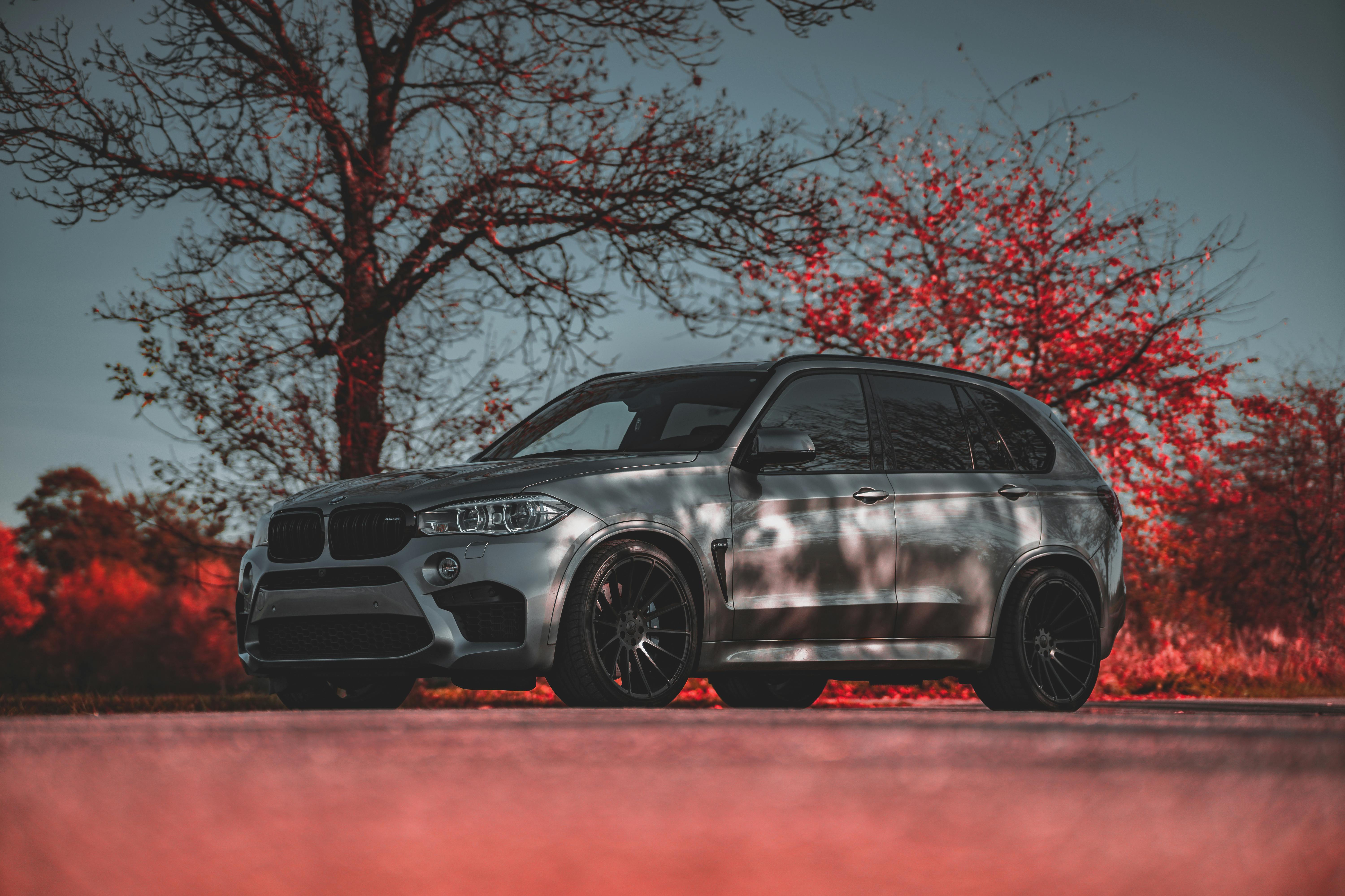 6000x4000 A BMW X5 Parked near Trees with Red Foliage · Free