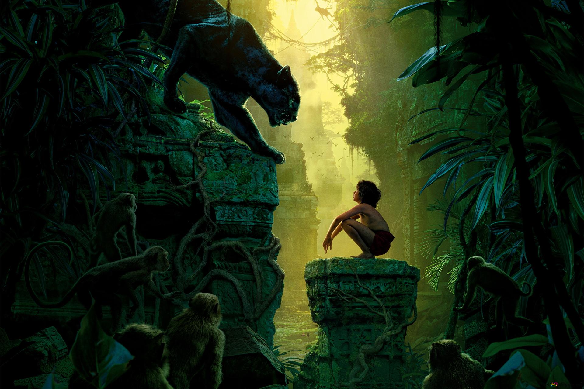 1920x1280 The Jungle Book movie in the forest 2K wallpaper download