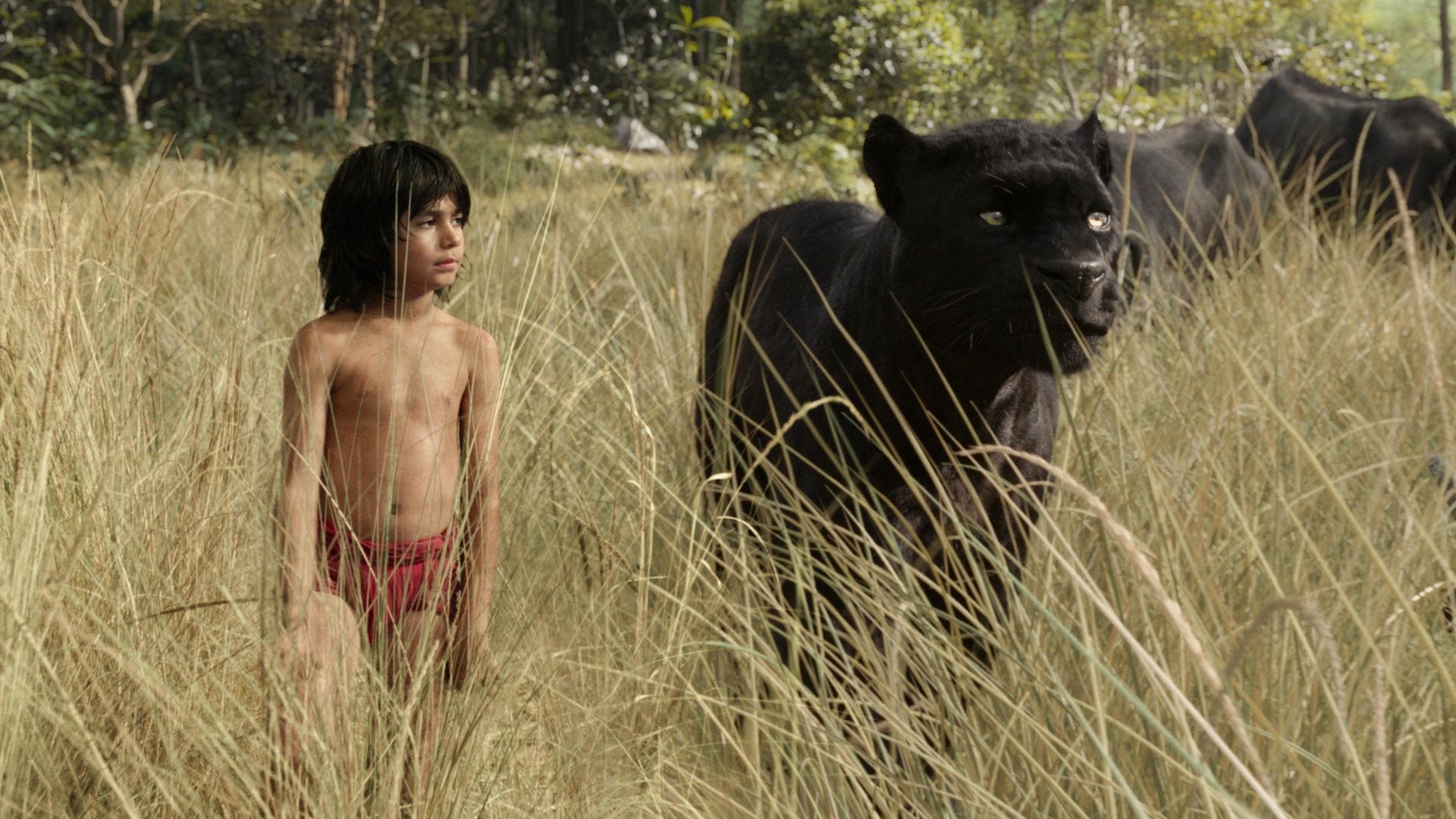 1920x1080 The Jungle Book review: Now here's something to sink your teeth into