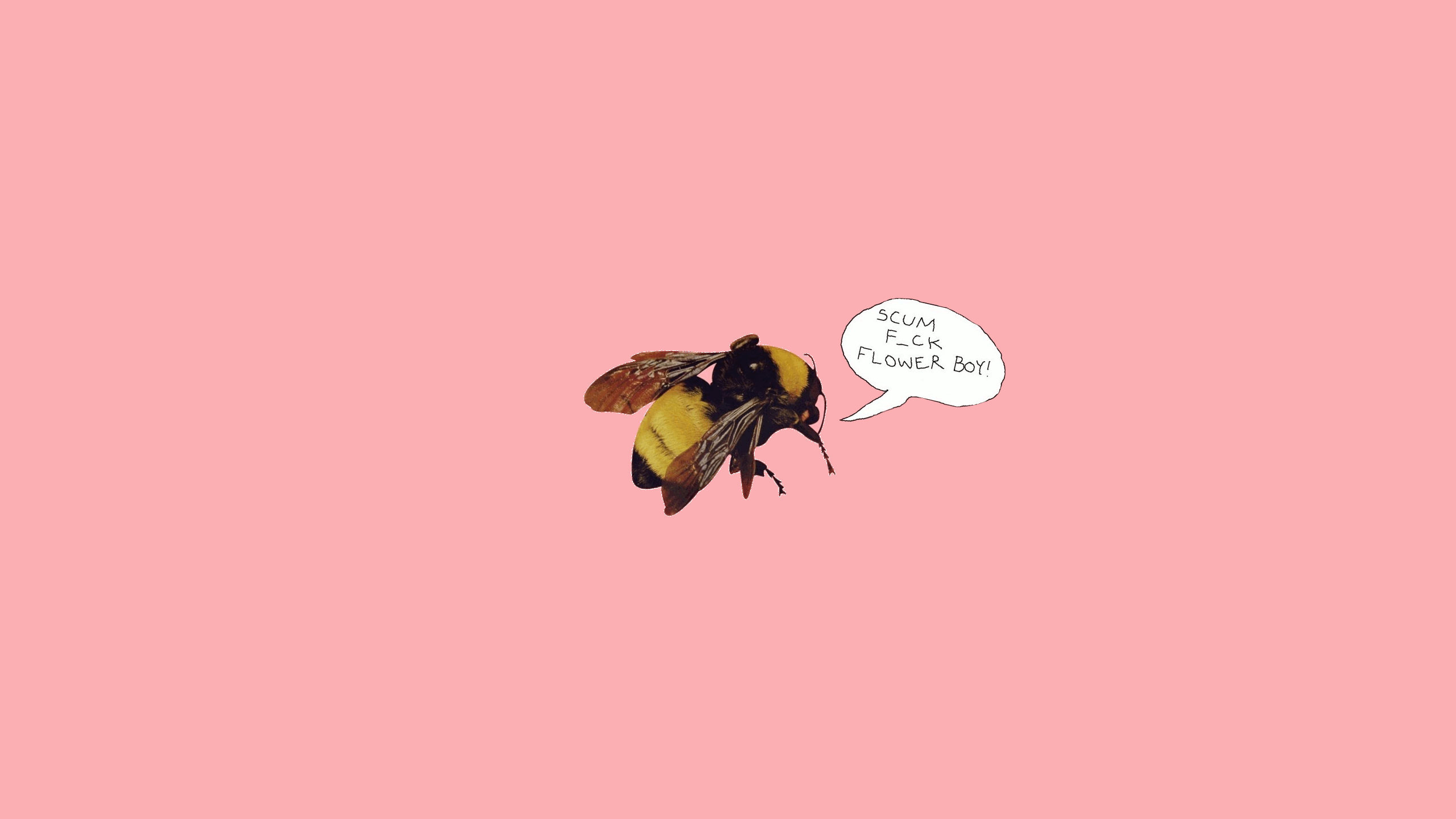 2560x1440 Igor Computer Wallpaper