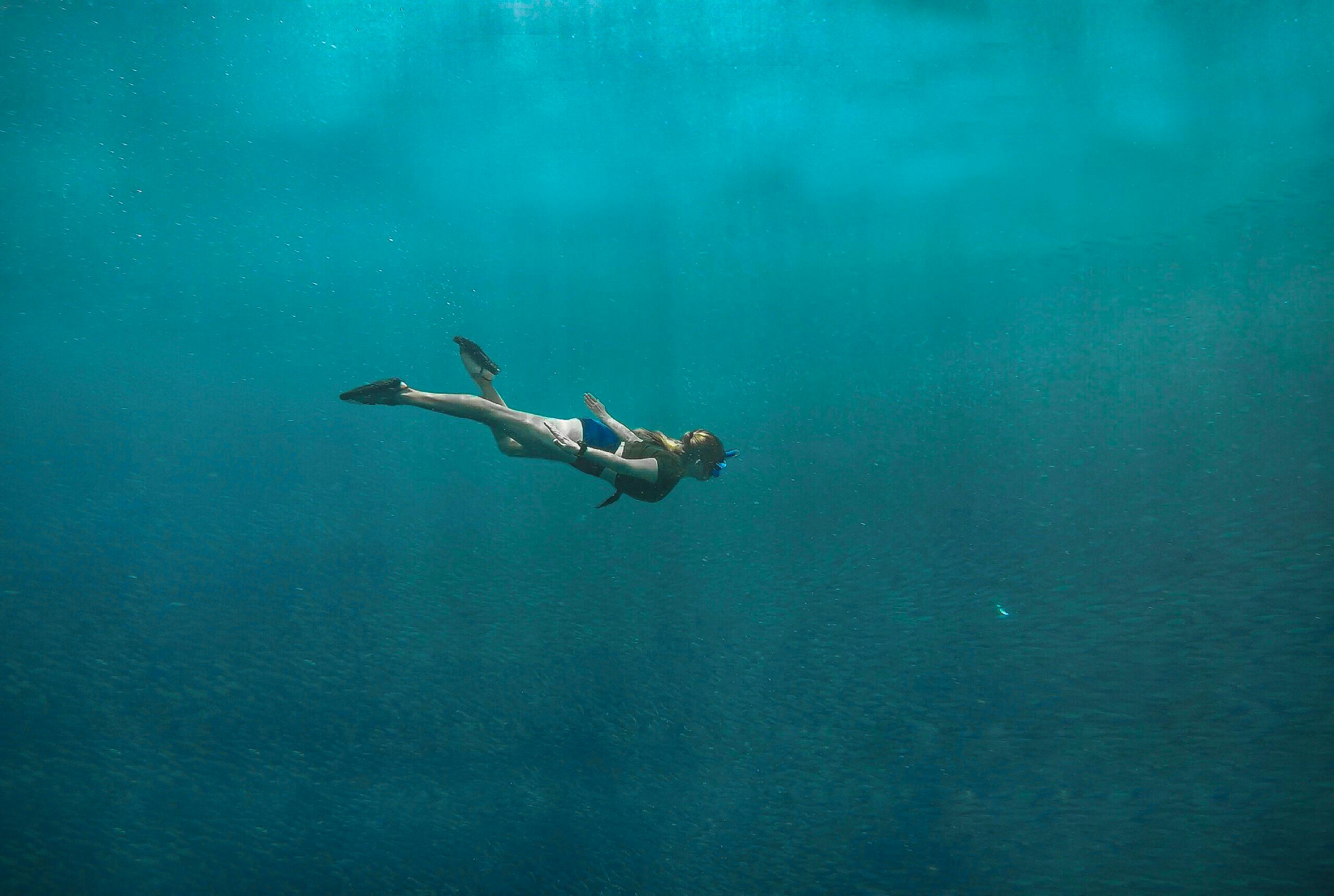 2560x1720 Photo of Woman Swimming Underwater · Free