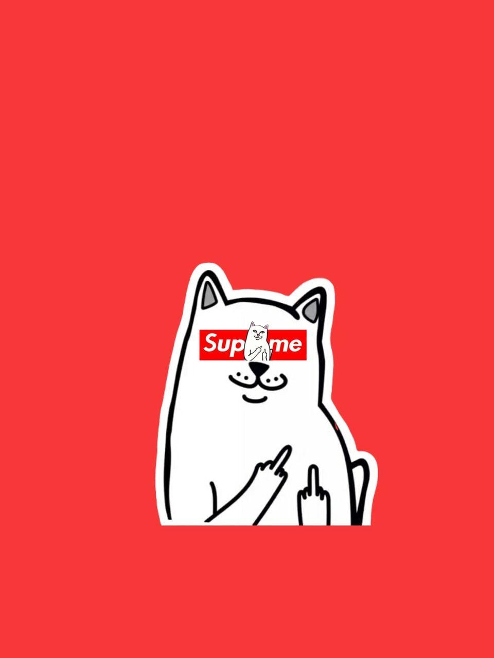 960x1280 Supreme Cat Middle Finger Wallpaper