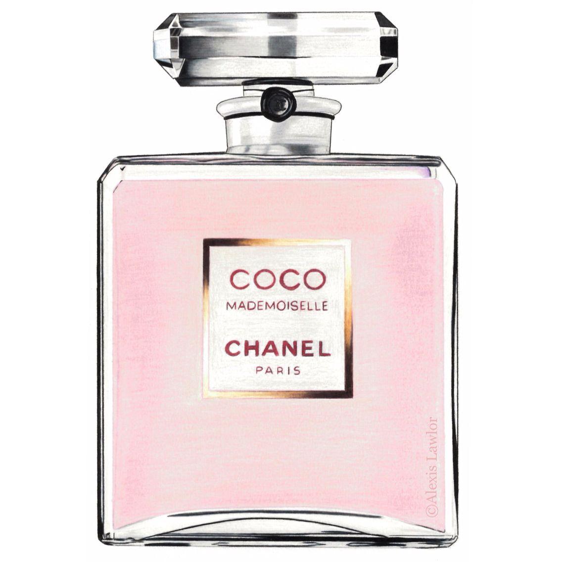 1136x1136 Chanel Perfume Drawing. Explore collection