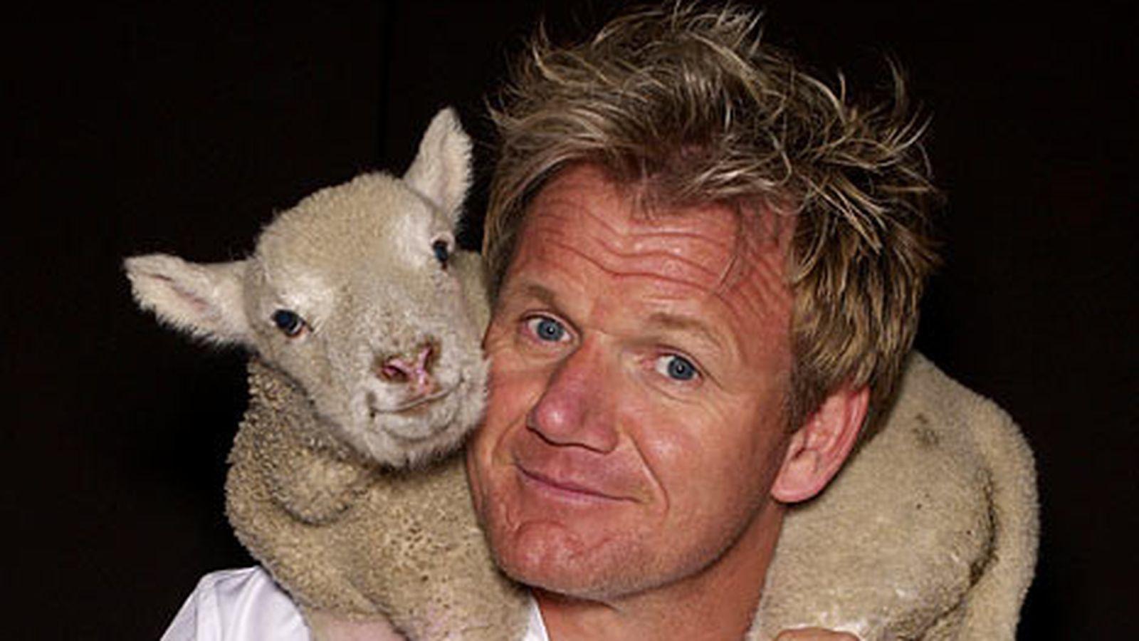 1600x900 A brief history of Gordon Ramsay's epicurean empire