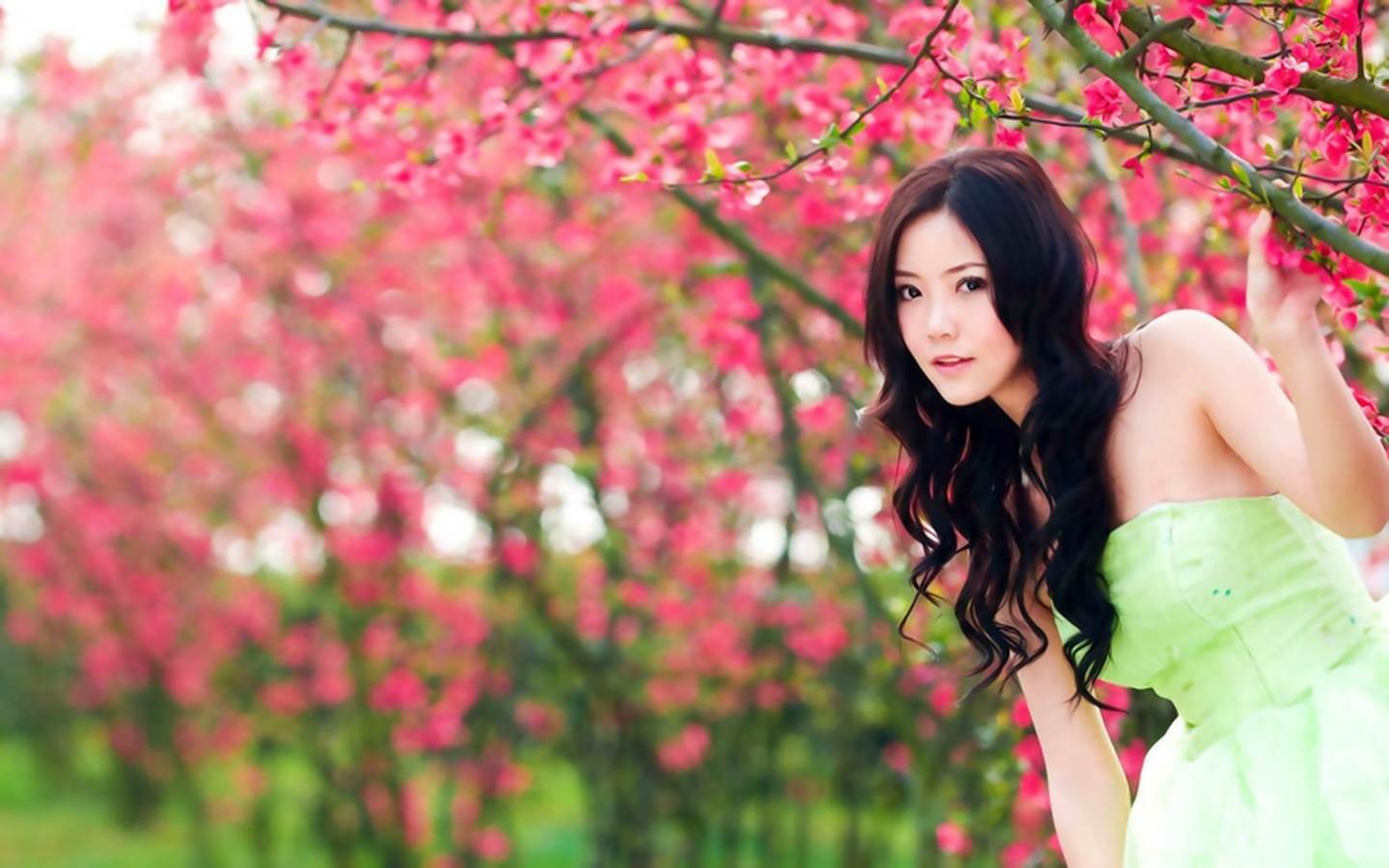 1440x900 Indian Beautiful Girls Wallpaper 1440x900