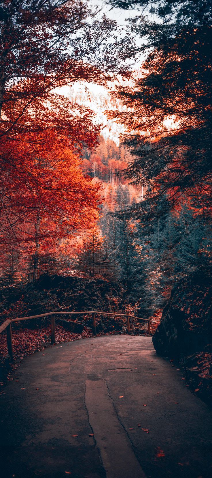 4K iPhone Fall Wallpapers - Top Free 4K iPhone Fall Backgrounds