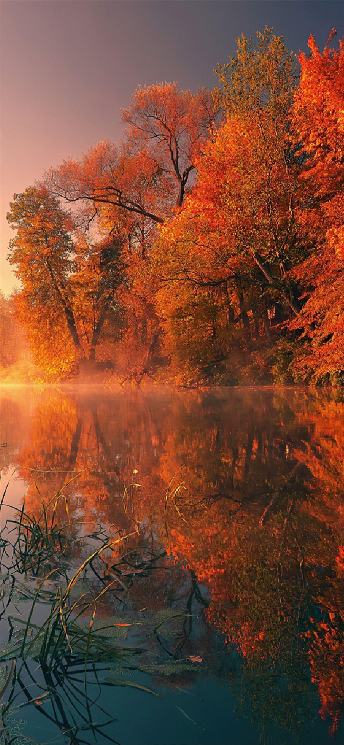 4K iPhone Fall Wallpapers - Top Free 4K iPhone Fall Backgrounds