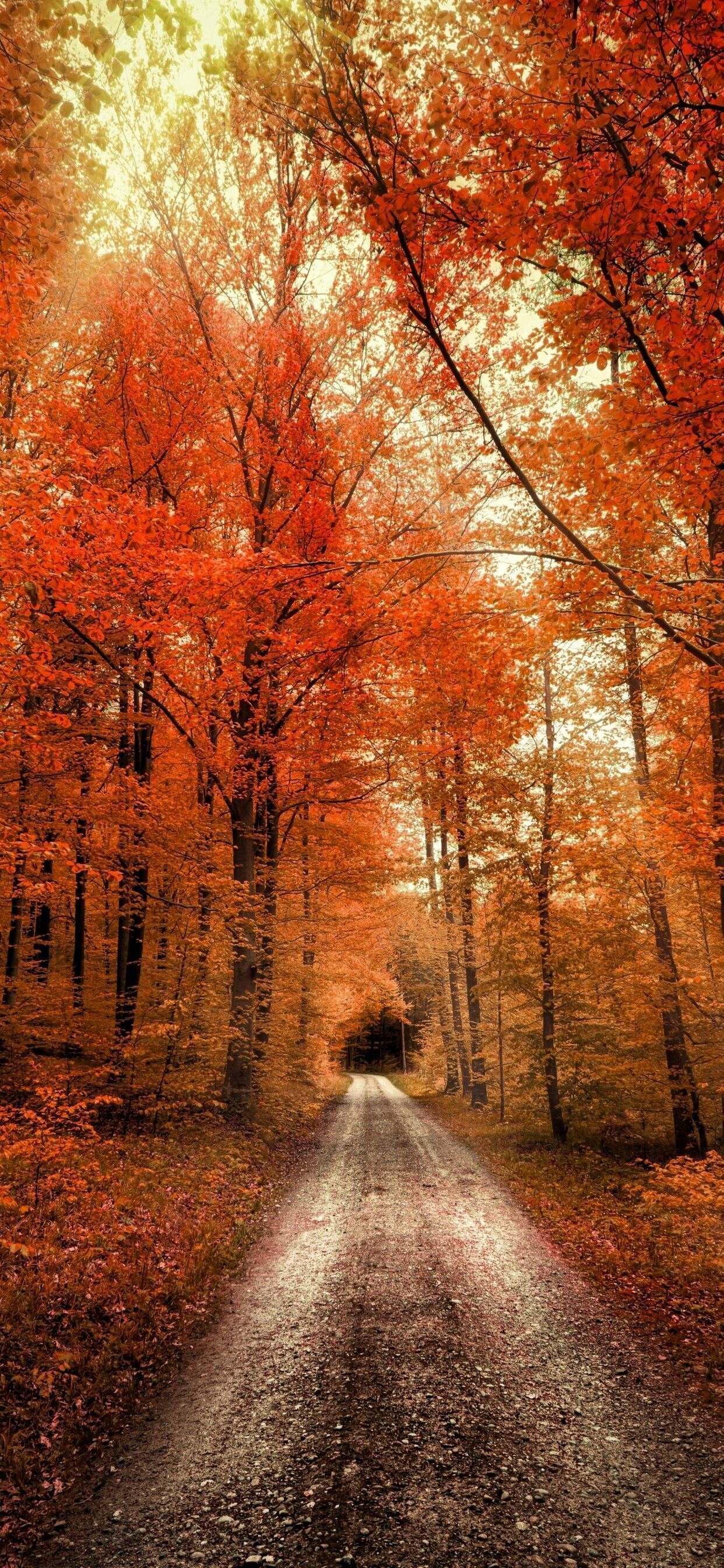 4K iPhone Fall Wallpapers - Top Free 4K iPhone Fall Backgrounds