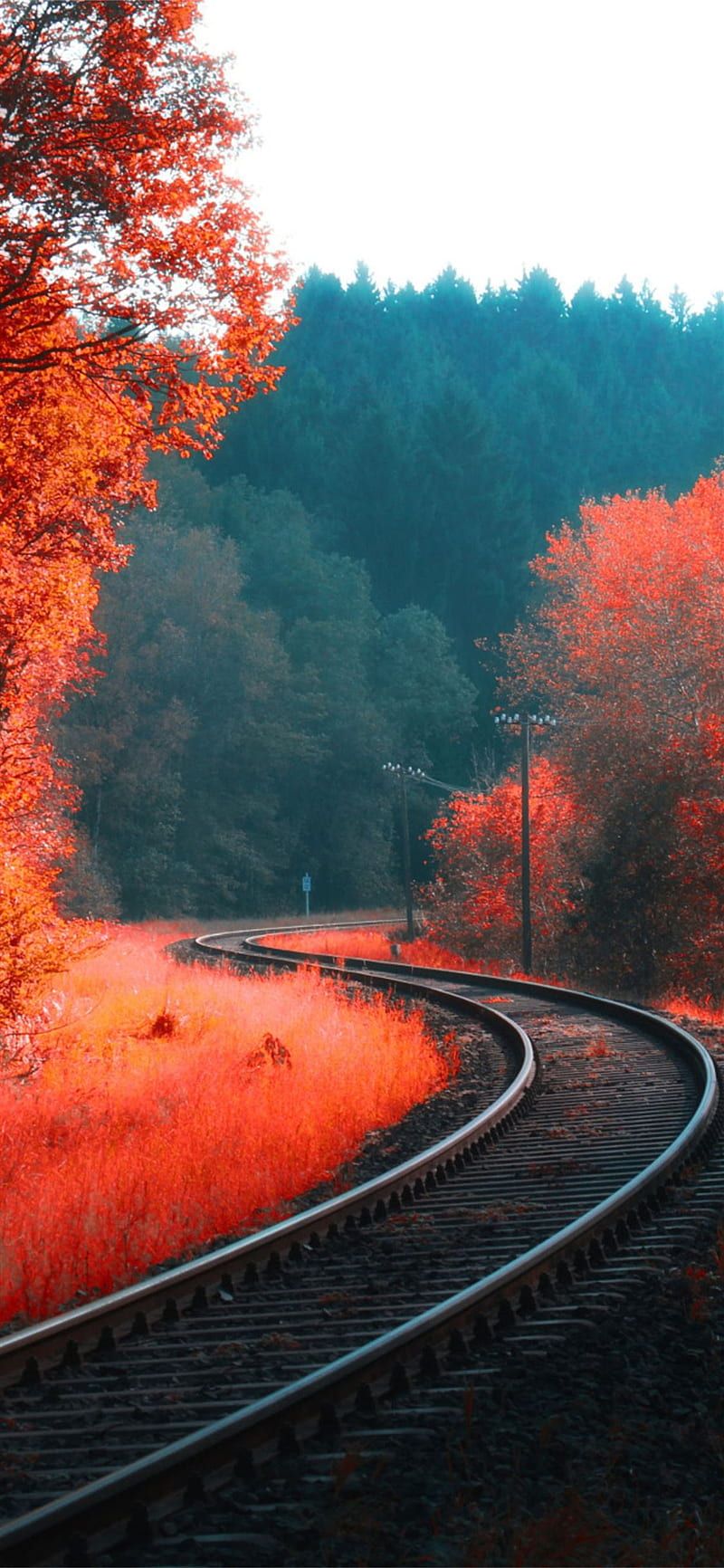 4K iPhone Fall Wallpapers - Top Free 4K iPhone Fall Backgrounds