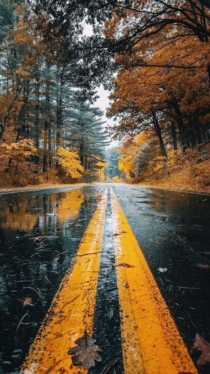 4K iPhone Fall Wallpapers - Top Free 4K iPhone Fall Backgrounds