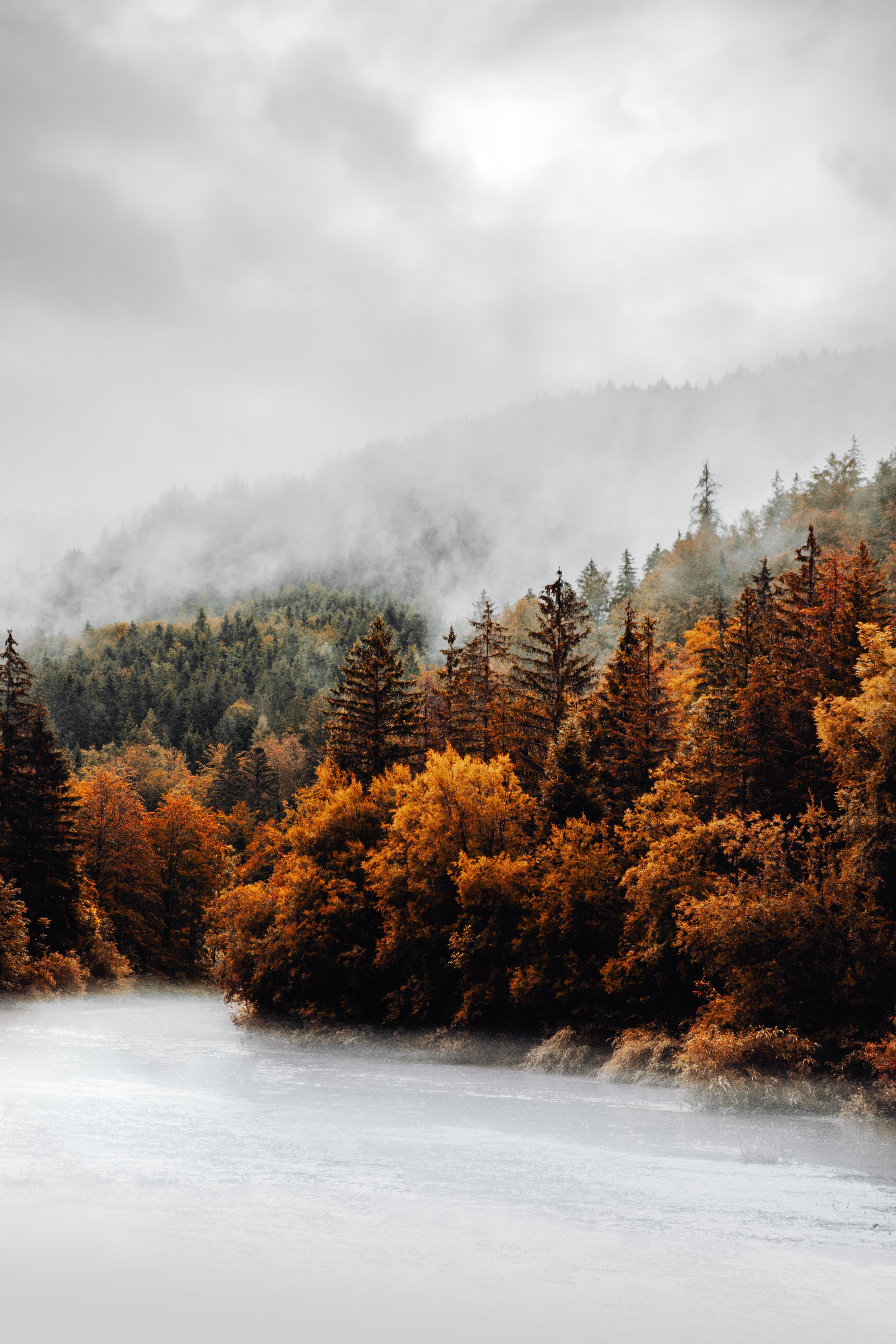 4K iPhone Fall Wallpapers - Top Free 4K iPhone Fall Backgrounds