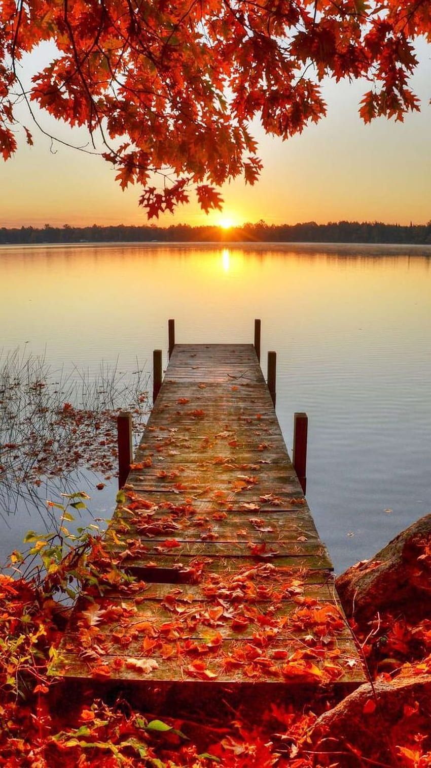 4K iPhone Fall Wallpapers - Top Free 4K iPhone Fall Backgrounds