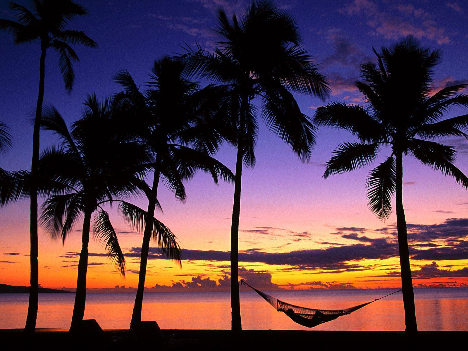 1600x1200 California Palm Trees Sunset Tumb HD Wallpaper, Background Image