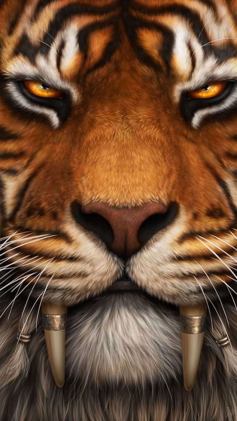 800x1422 HD look outside wallpaper