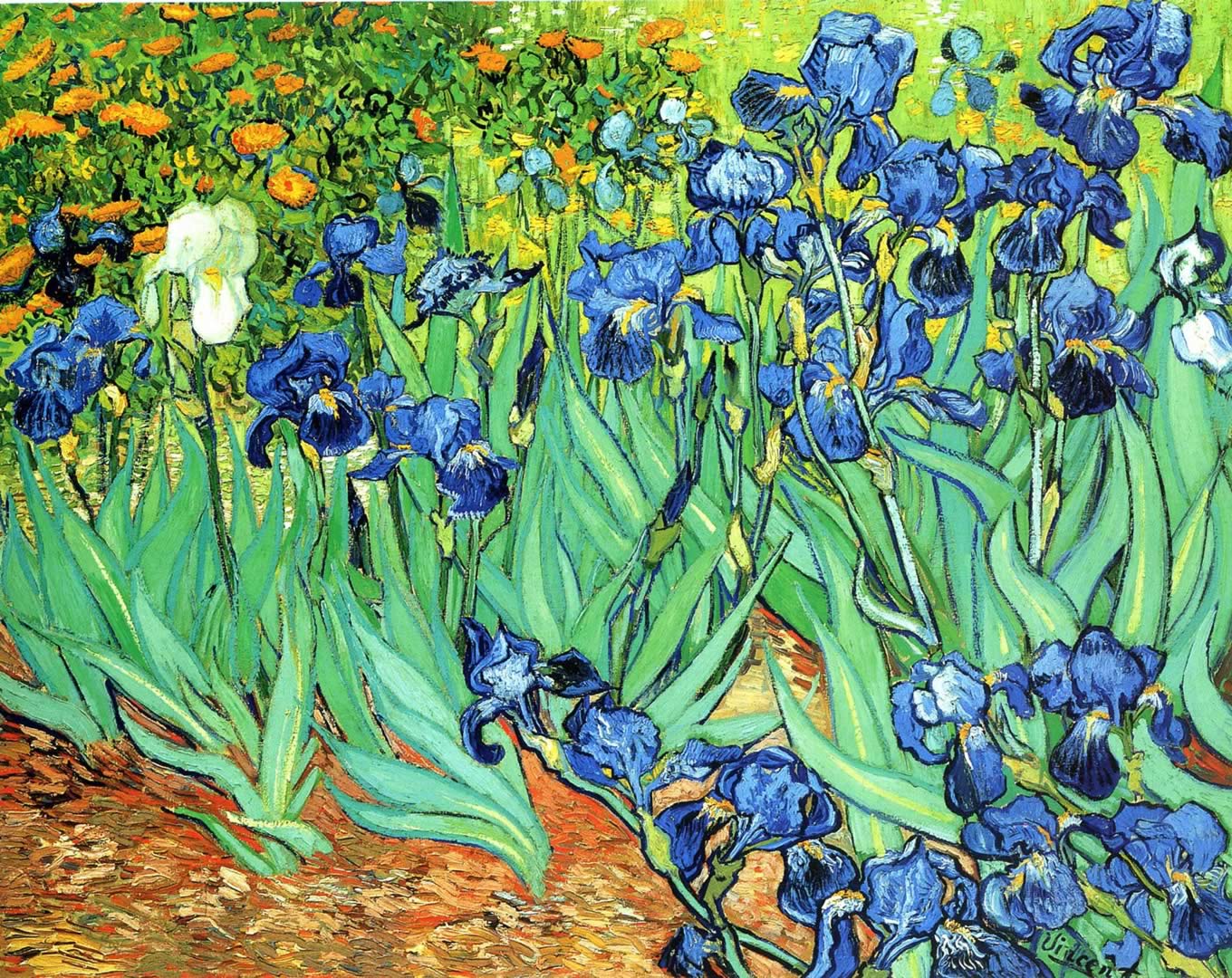 1360x1080 Vincent Van Gogh Wallpaper
