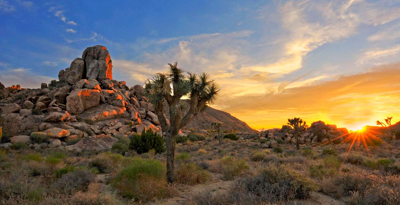 1400x720 Wallpaper Joshua Tree National Park Vacation Travel Guide And Tour
