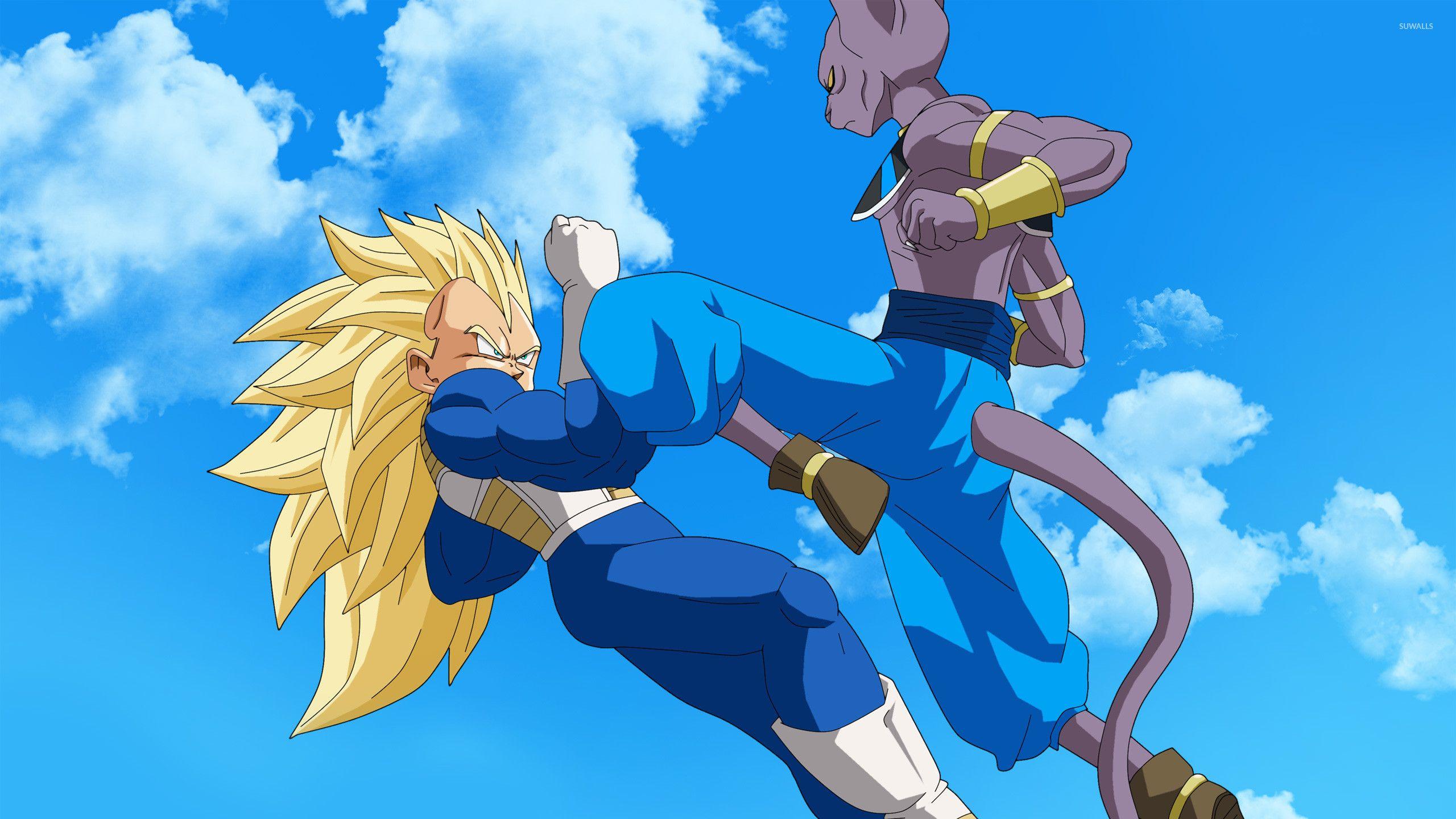 2560x1440 Vegeta Wallpaper