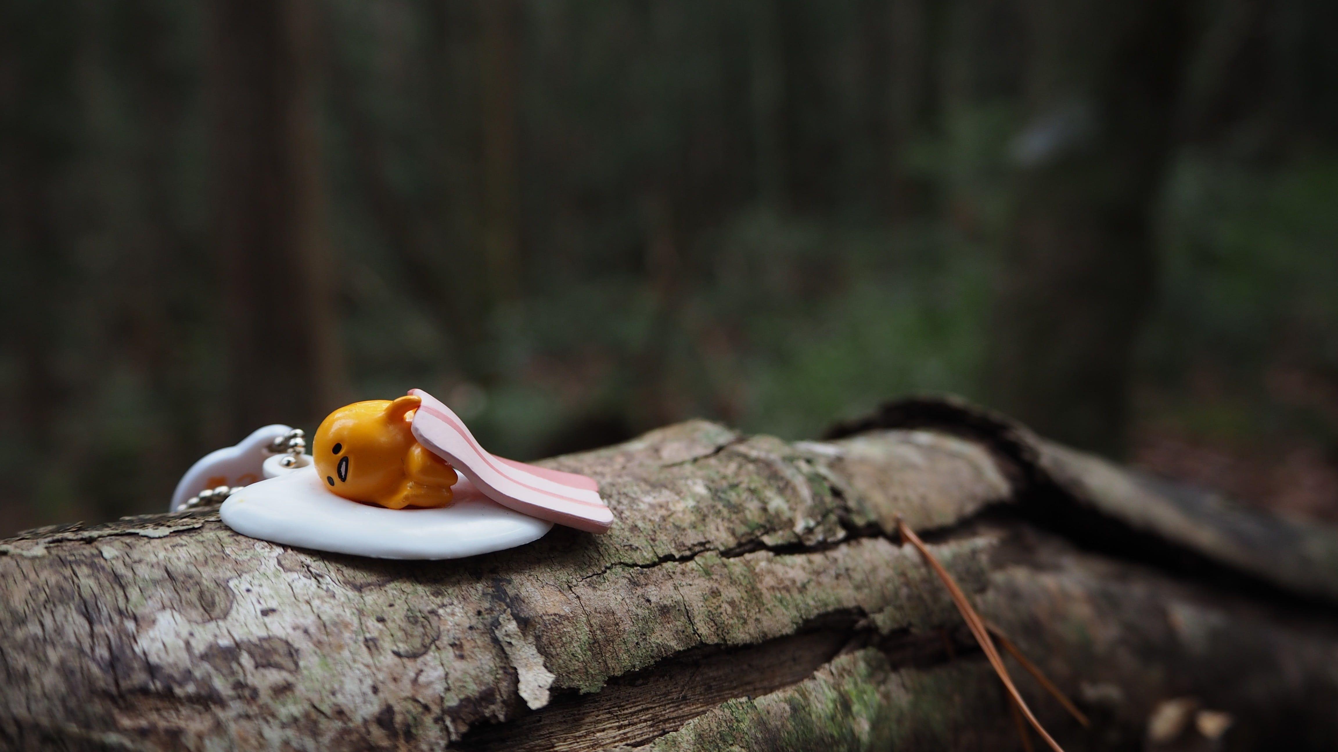 4608x2592 Gray tree trunk, depth of field, GUDETAMA, forest HD wallpaper