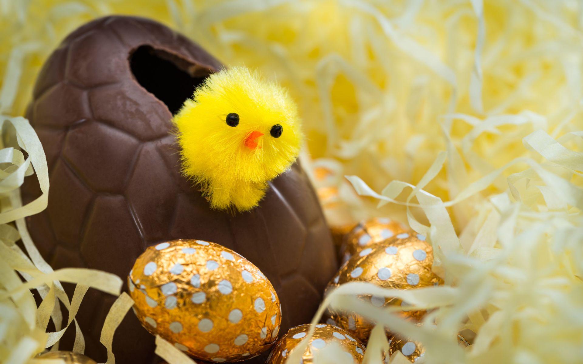 1920x1200 Egg Wallpaper