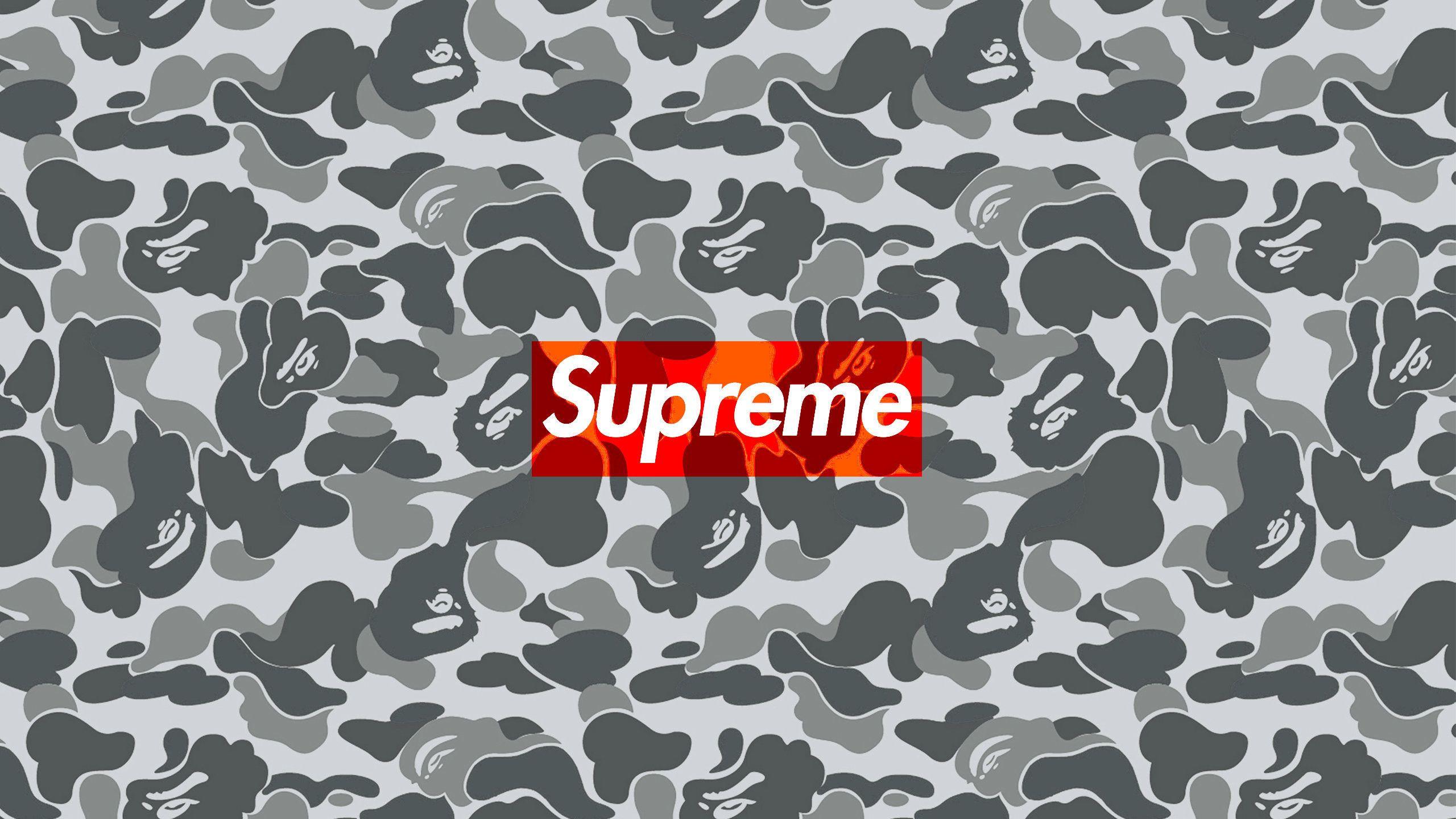2560x1440 Bape Shark Wallpaper