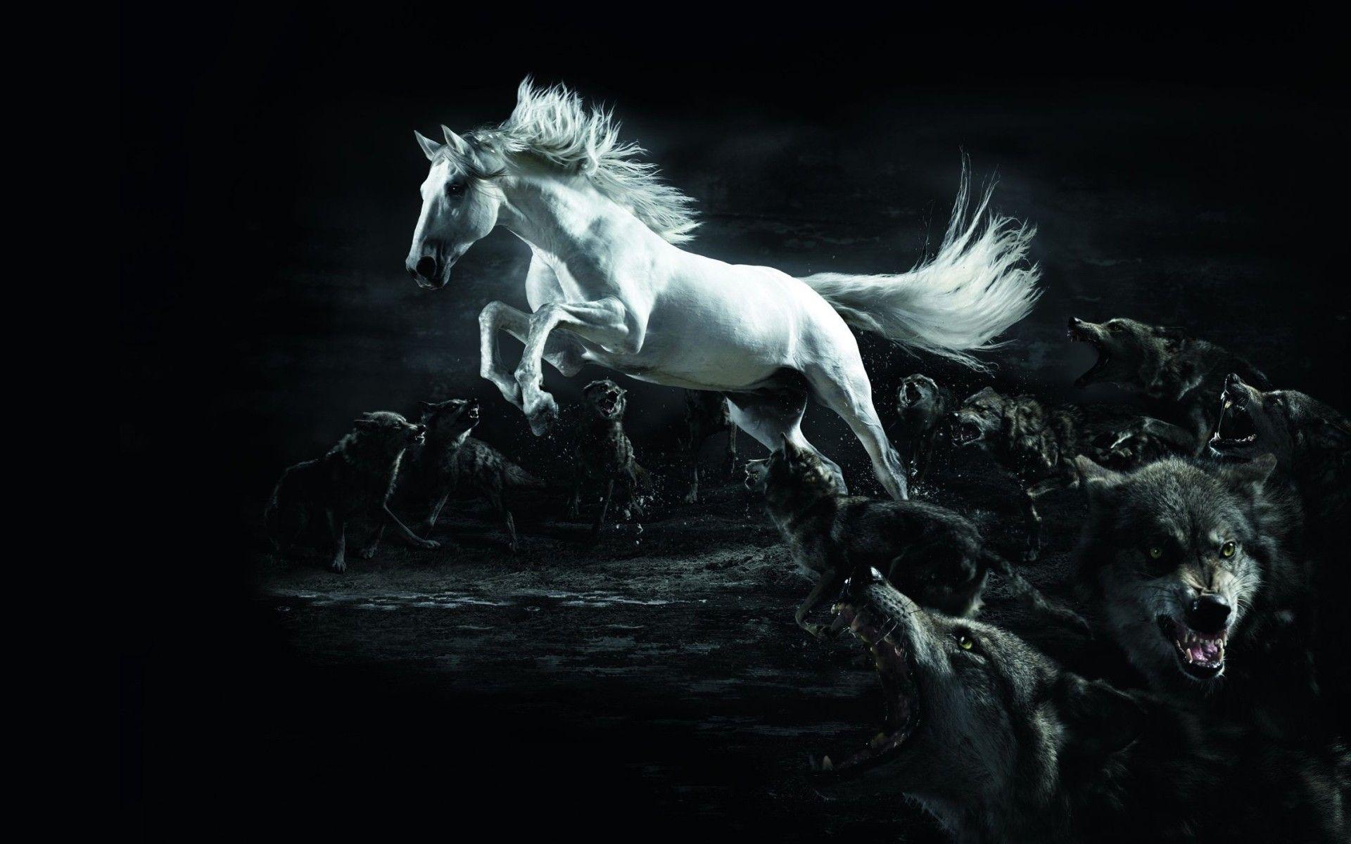 1920x1200 animals, jumping, illustrations, horses, wolves wallpaper