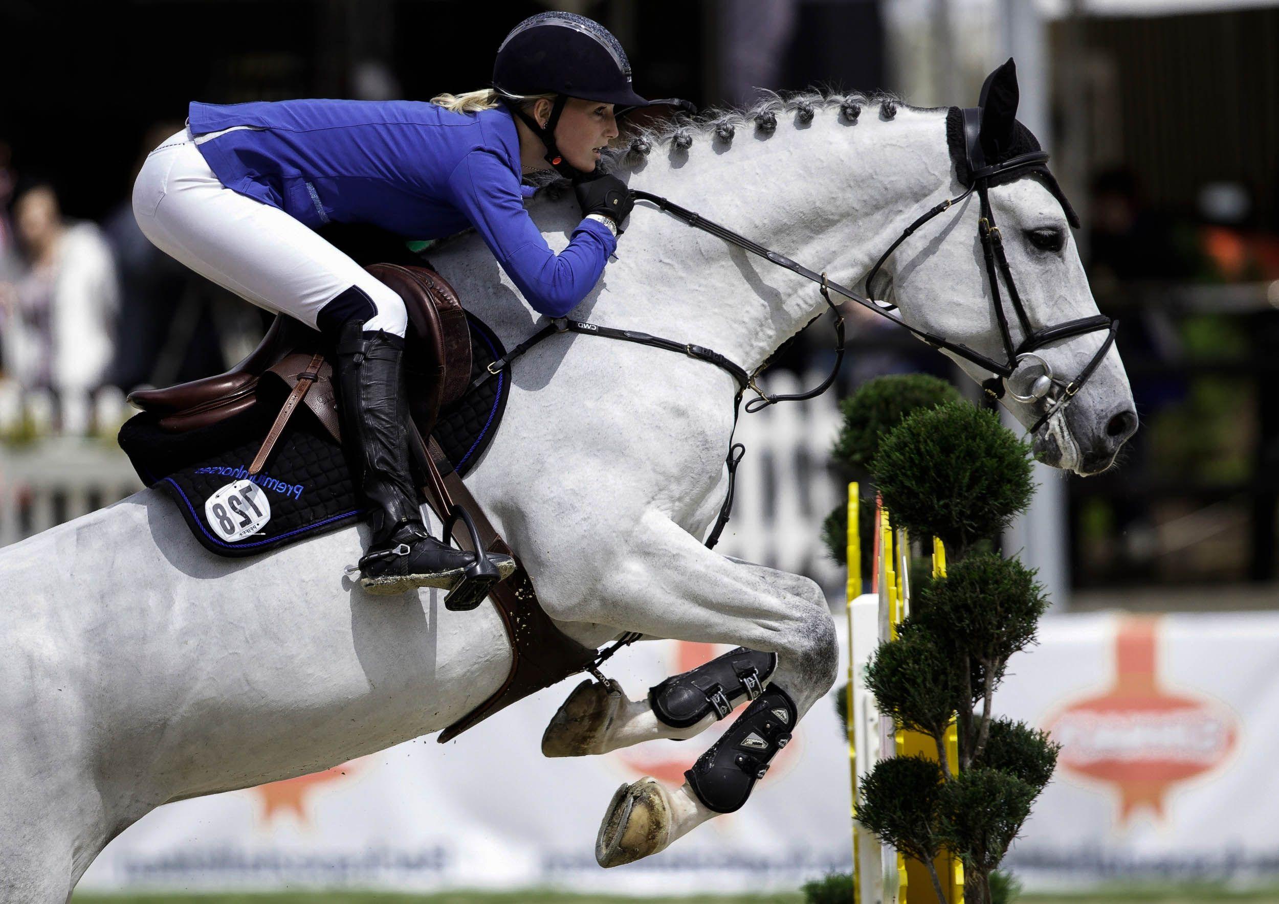 2500x1768 Show Jumping Wallpaper. Jumping Spider