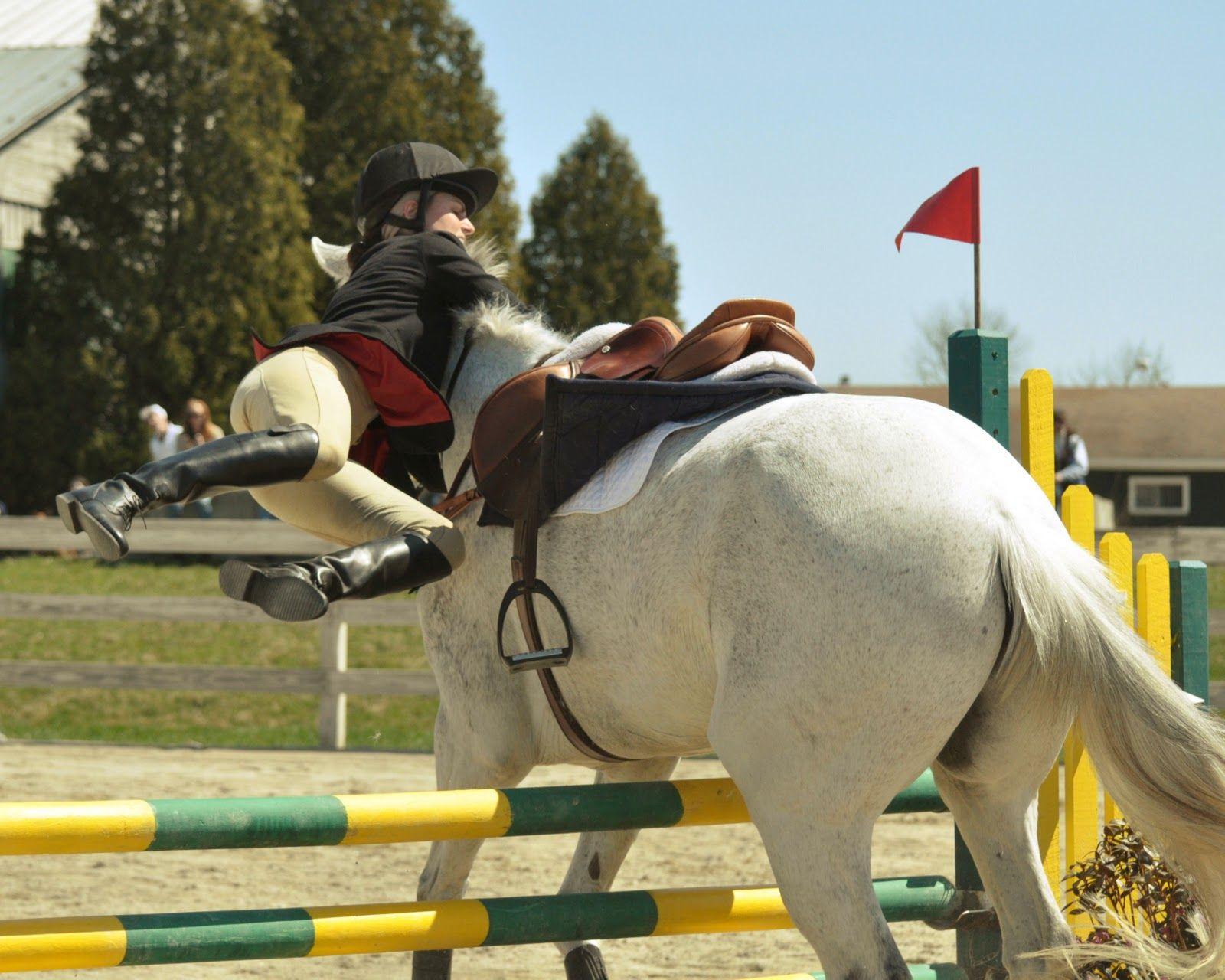 Horse Jumping Wallpapers Top Free Horse Jumping Backgrounds