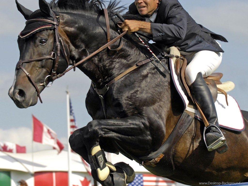 1024x768 Black Horse Jumping Wallpaper