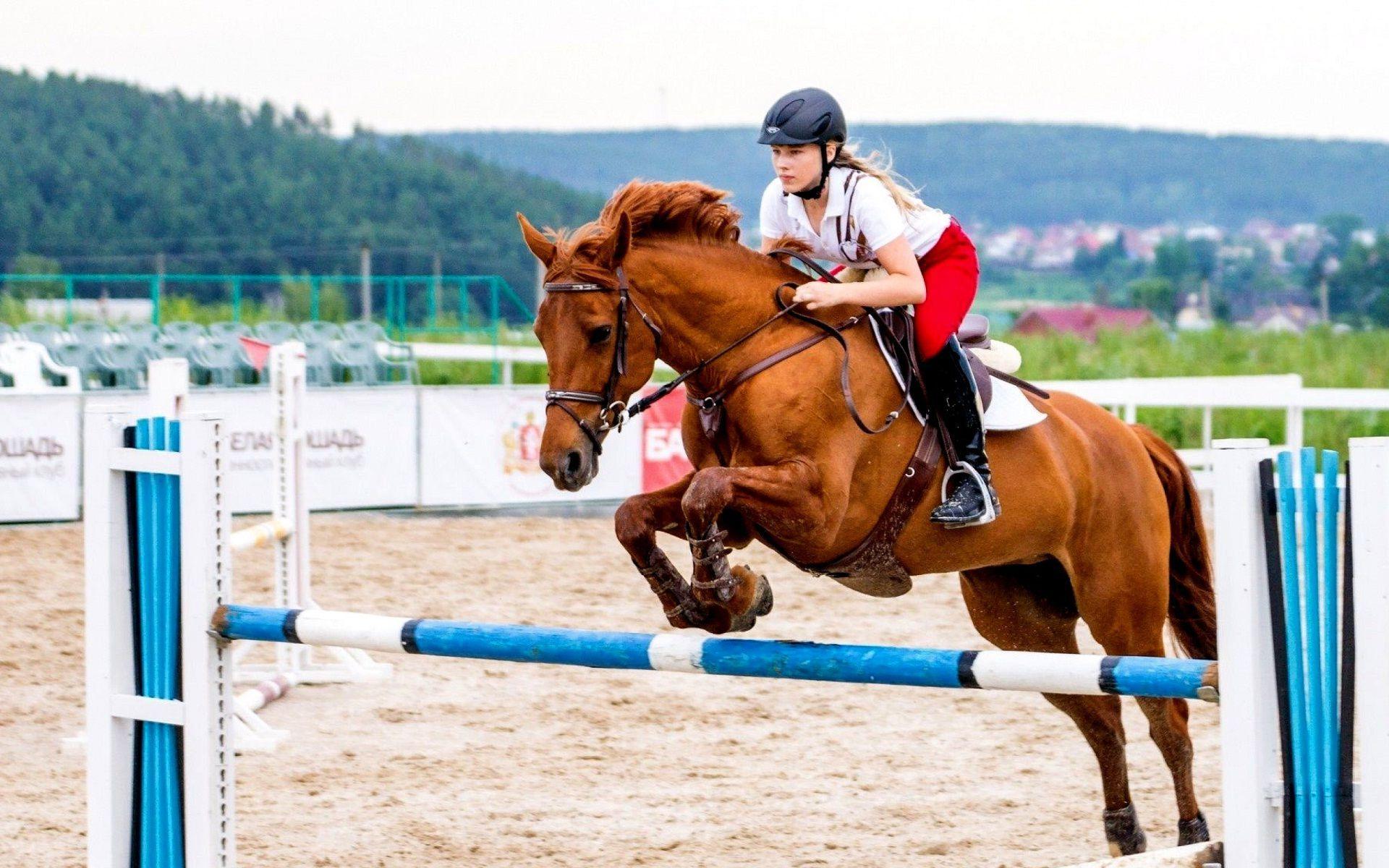 1920x1200 Horseback Riding Wallpaper HD Background × Horse Riding. Horse